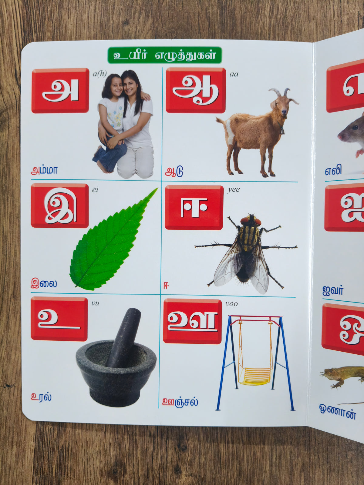 குழந்தைகளுக்கான முதல்  பாடம் - Board Book