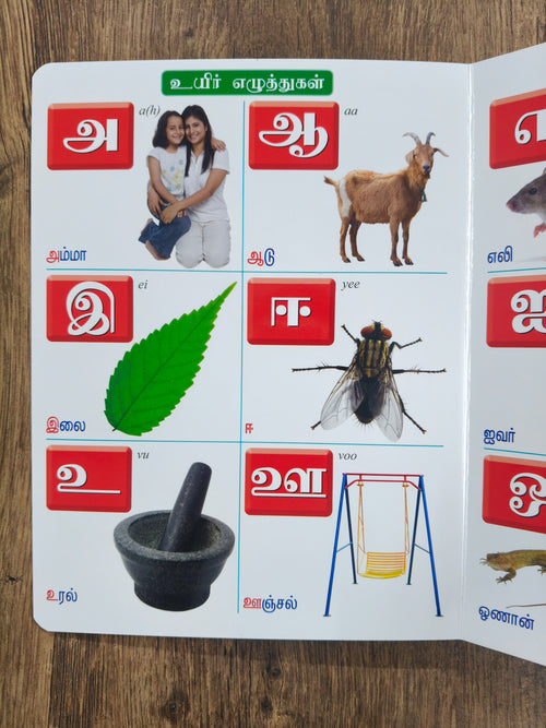 குழந்தைகளுக்கான முதல்  பாடம் - Board Book