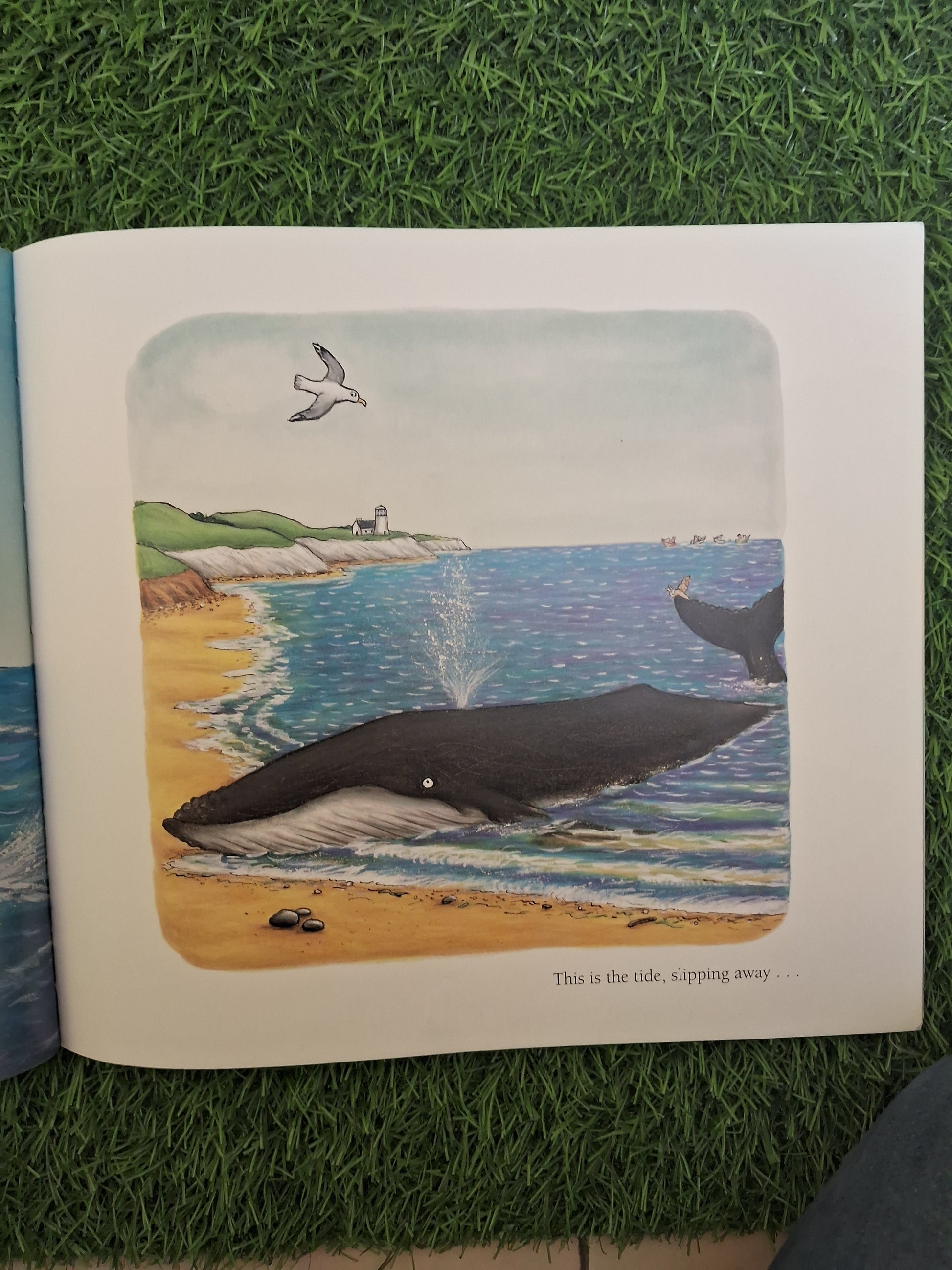 Book of THE SNAIL AND THE WHALE - Excellent Condition Paperback