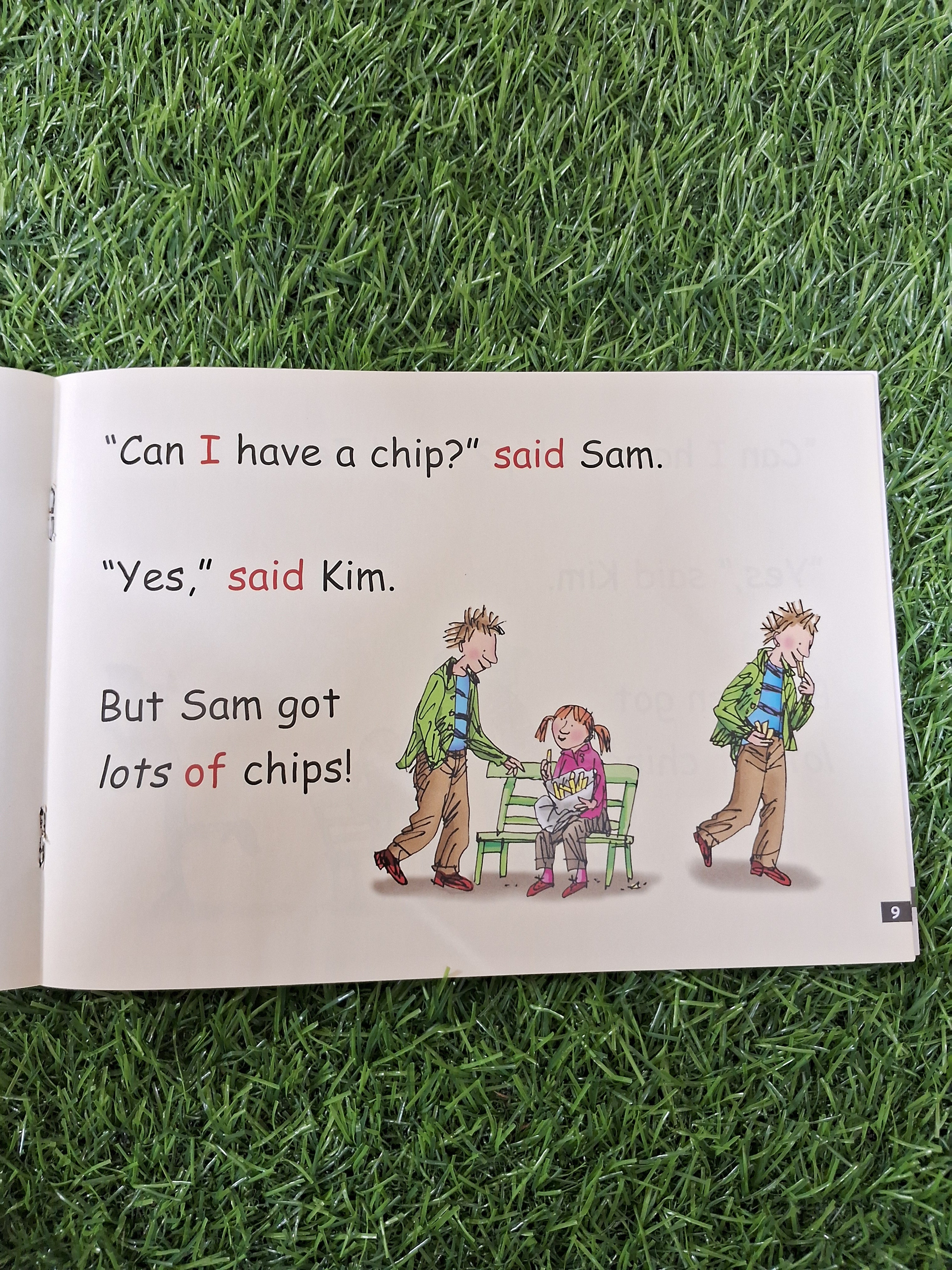Phonics - Chips -  Very Good Condition Paperback