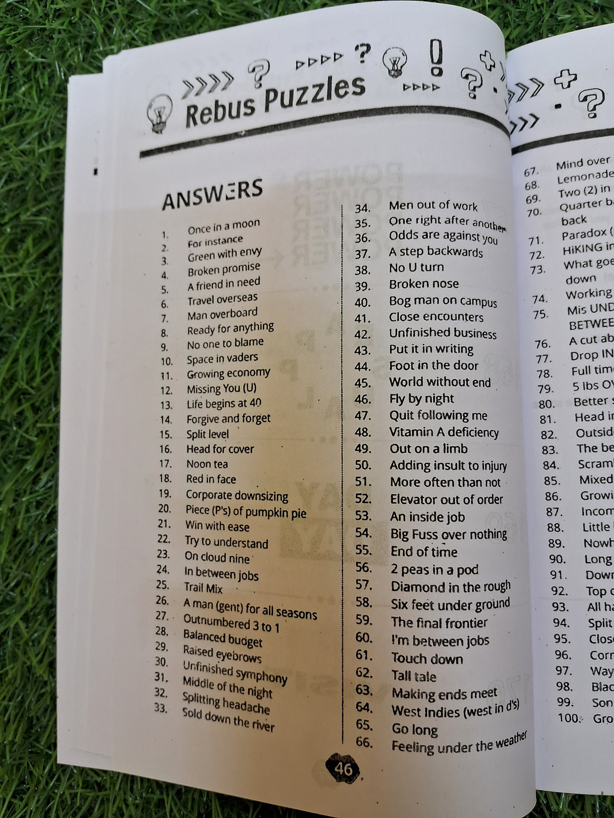 Rebus puzzles Book