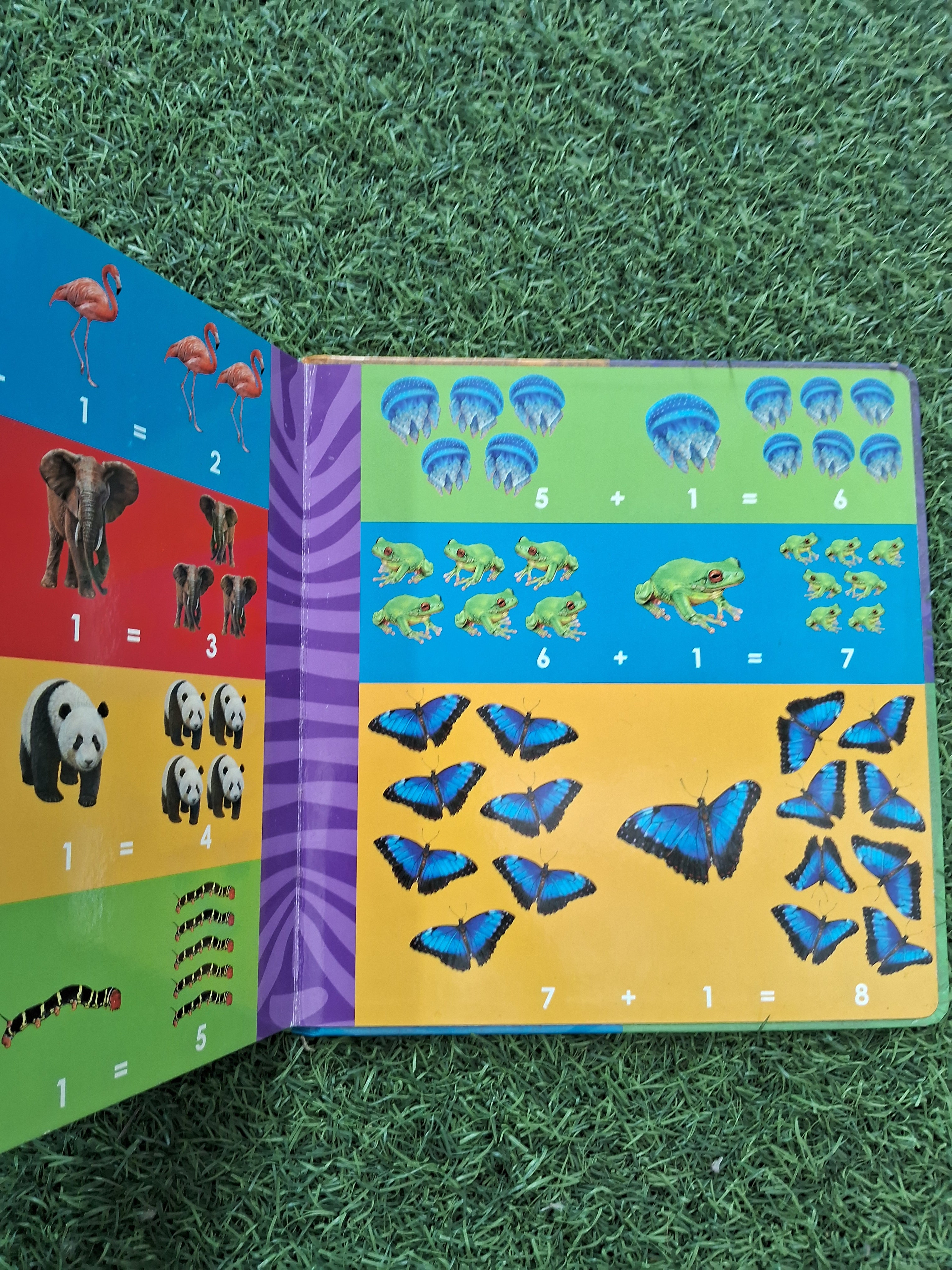 My First Counting Book -  Very Good Condition Board Book