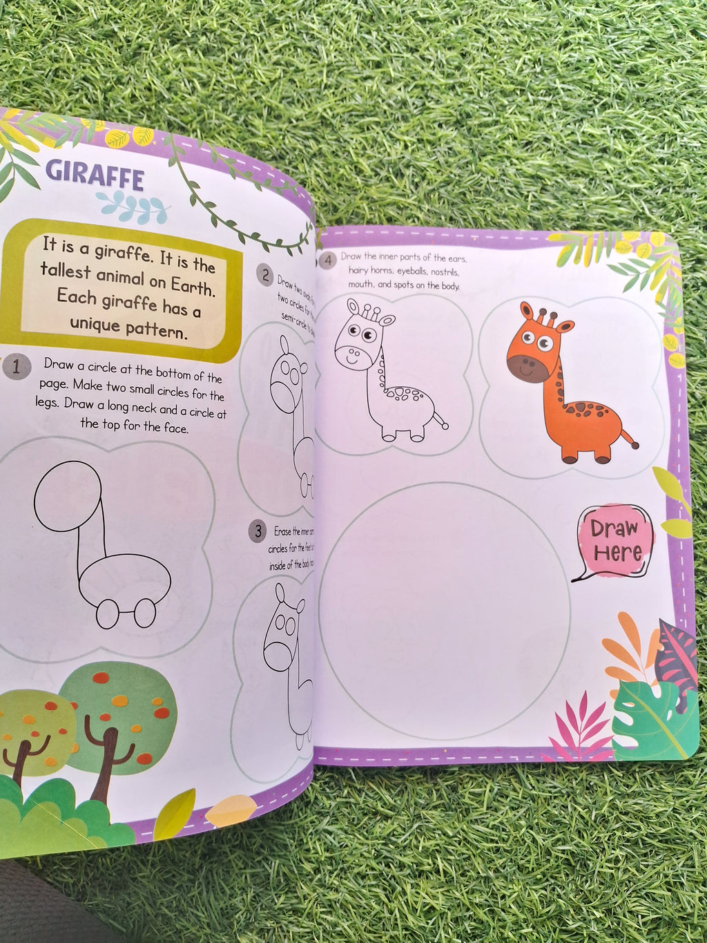 Step By Step How To Draw - Animals