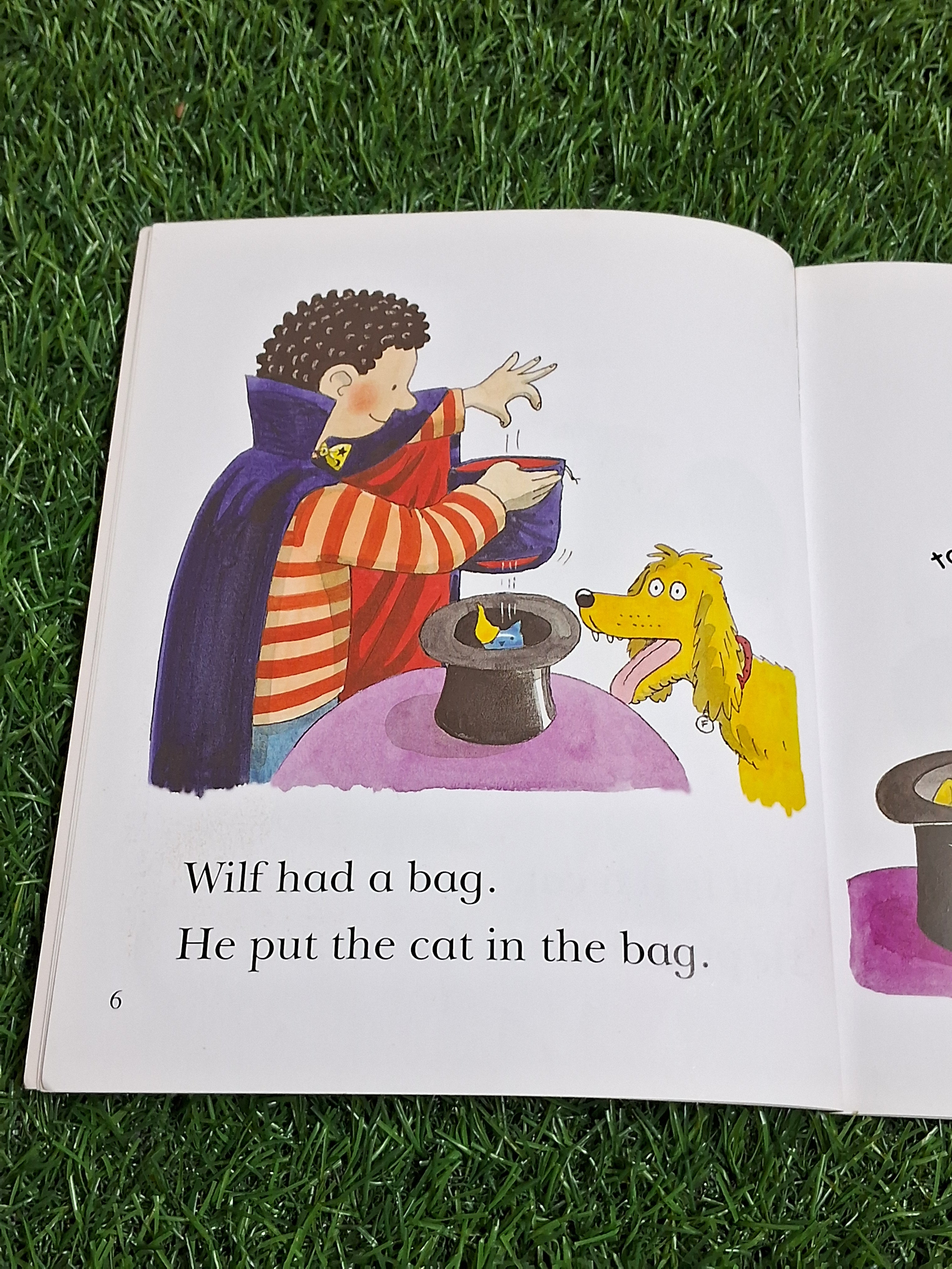 READ WITH BIFF CHIP & KIPPER - CAT IN A BAG - Excellent Condition Paperback