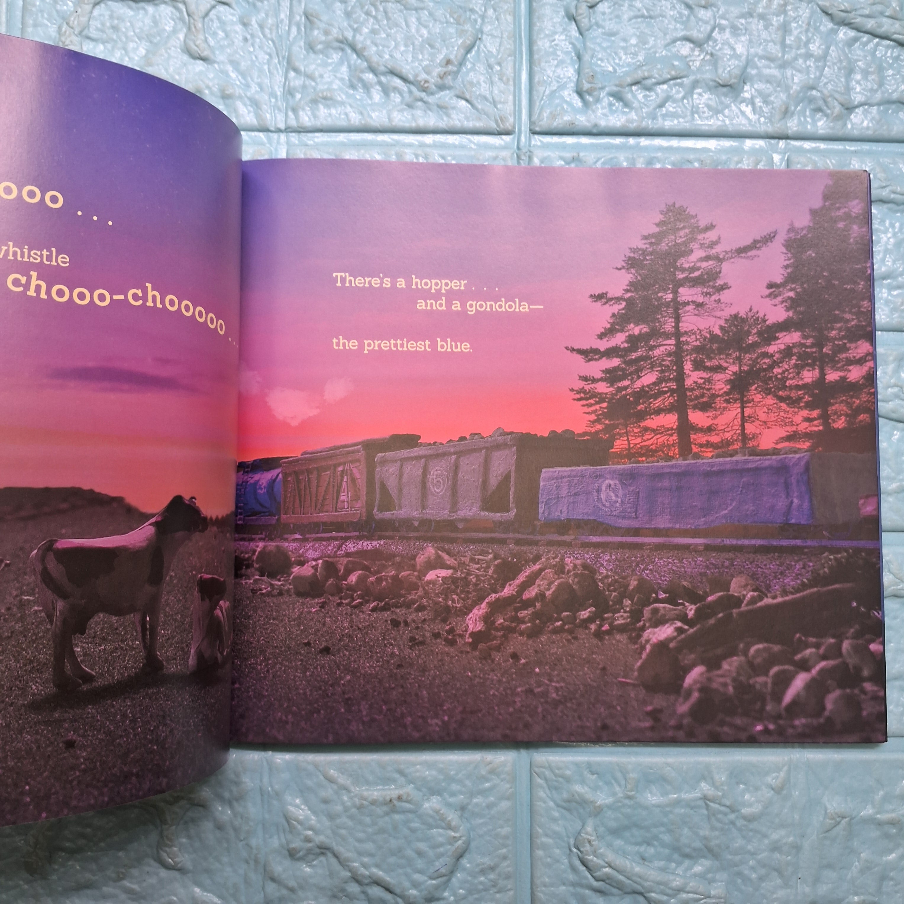 Sleep train - Very Good Condition Paperback