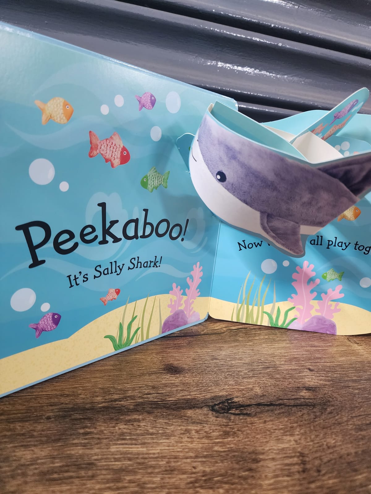 Shark - Popup Peekaboo