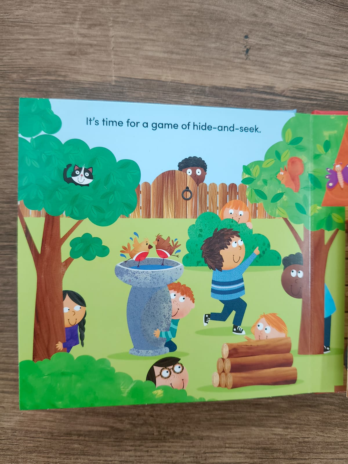 Popup - Peekaboo Playtime