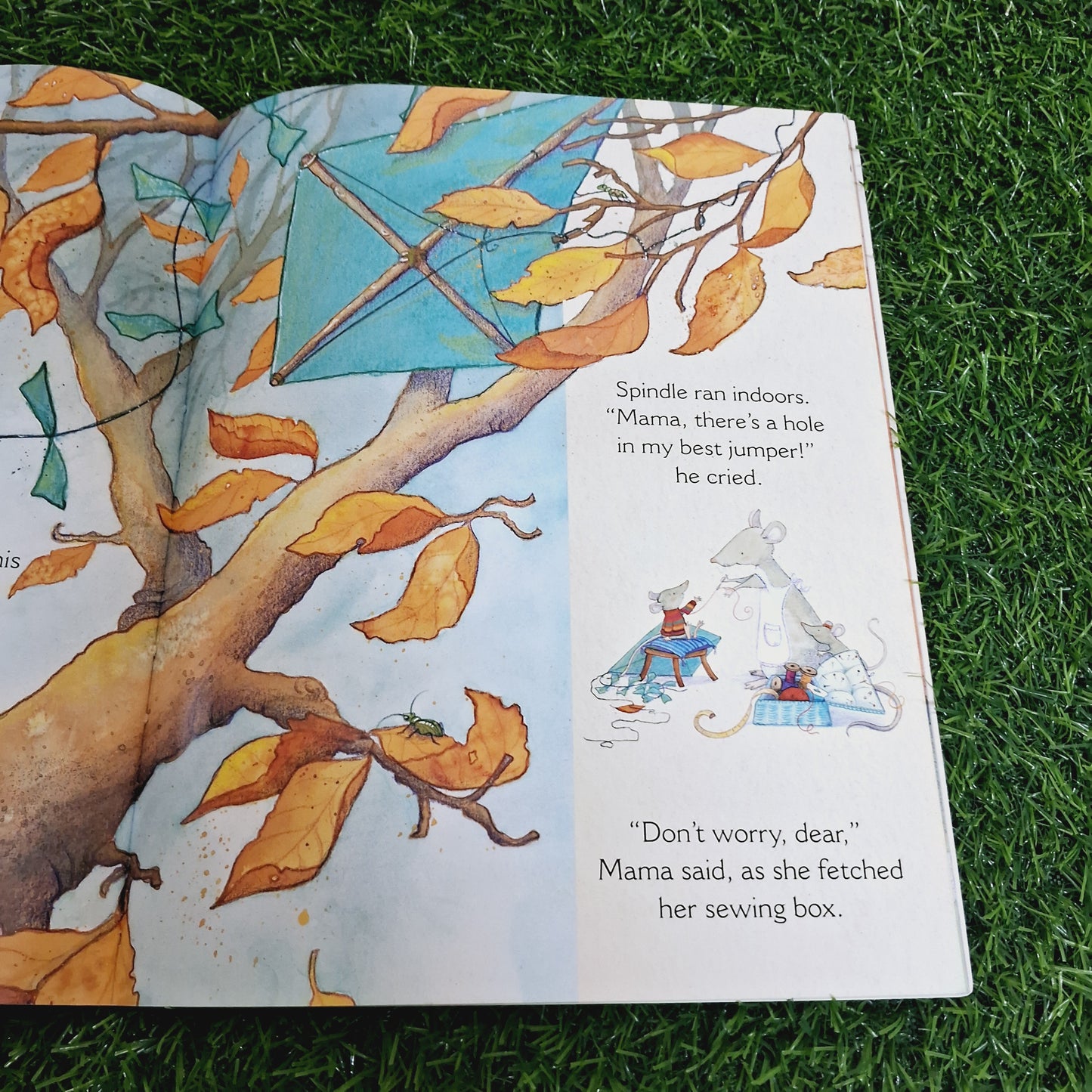 The Best Jumper - Very Good Condition Paperback