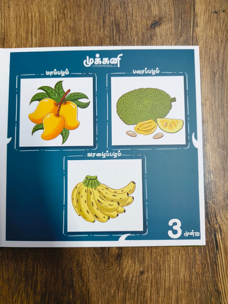 எண்ணும் இயற்கையும் - Tamil Board Book