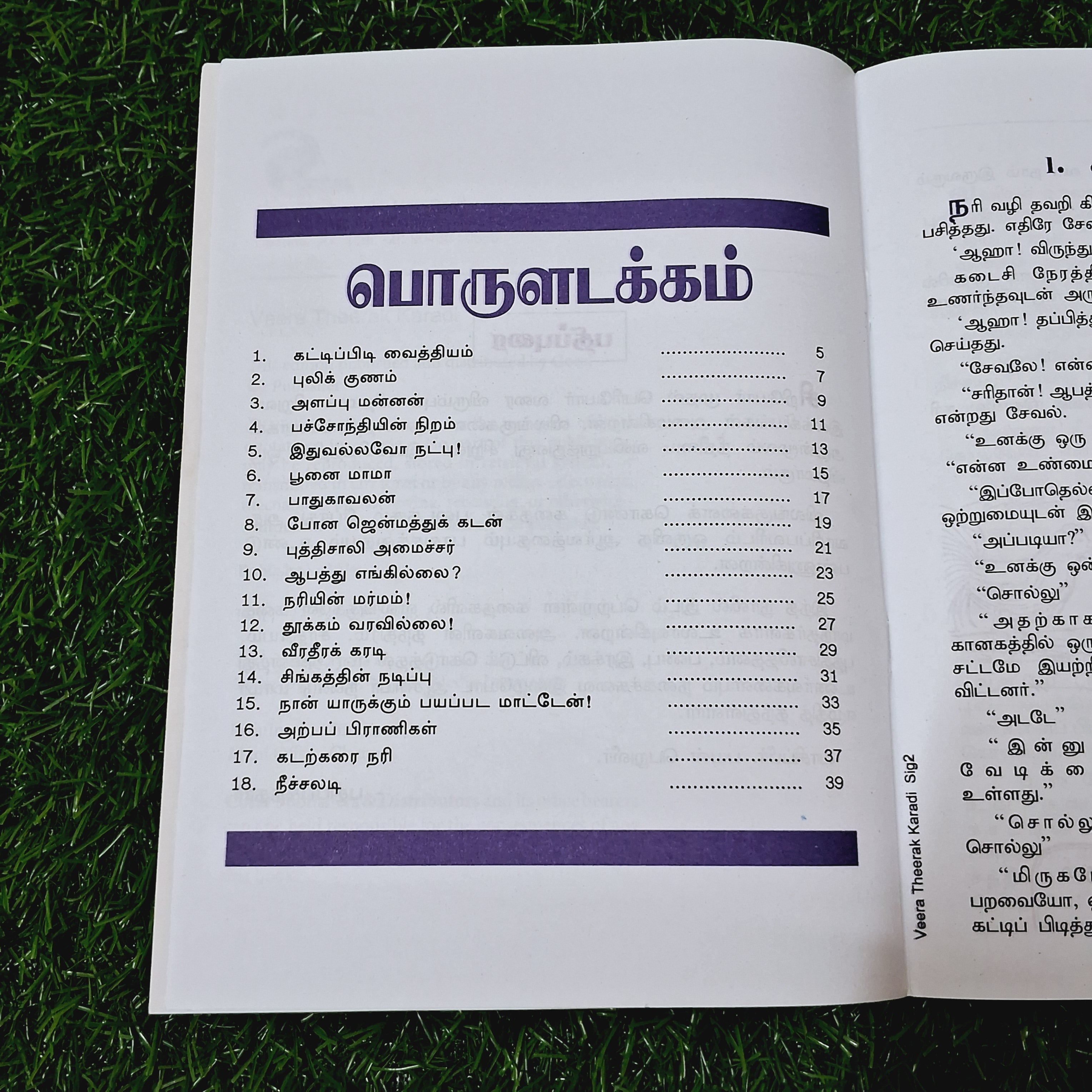 Veera Dheera Karadi - Story Book