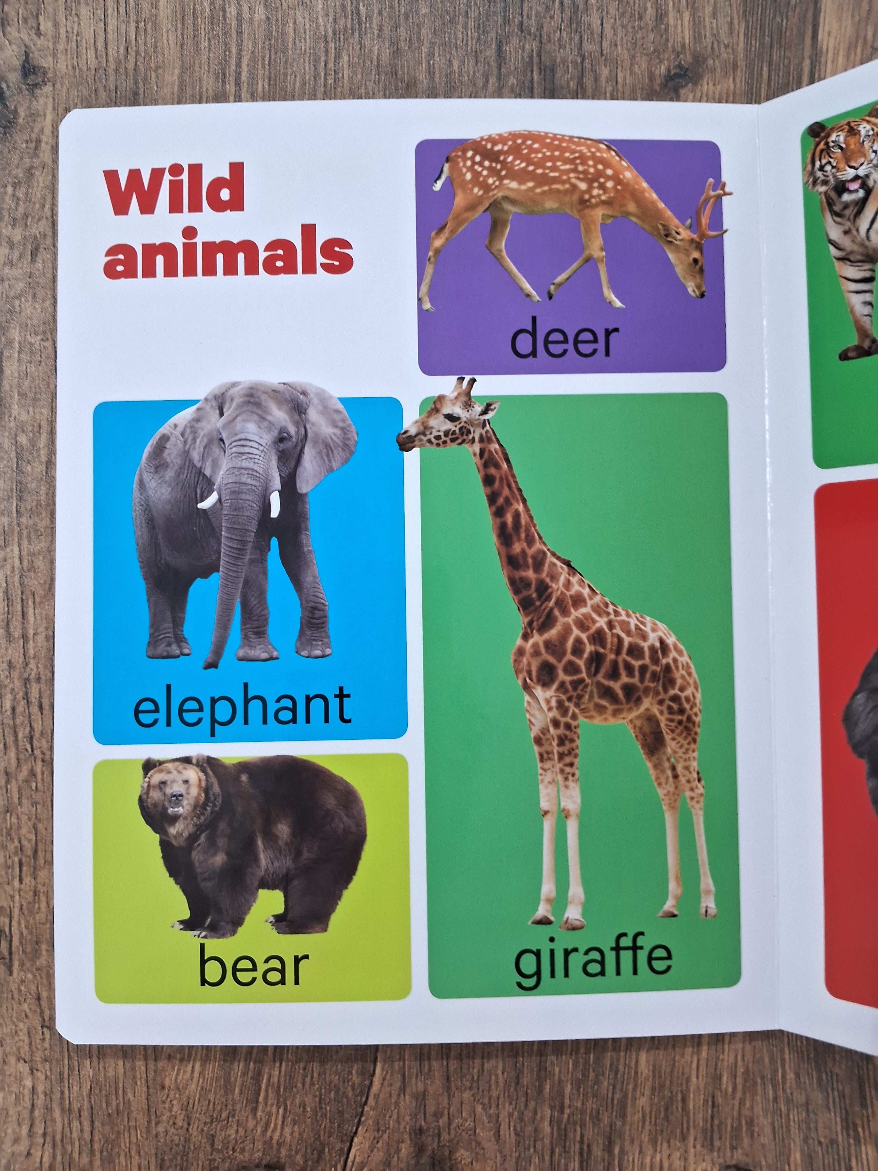 Animals - Big Board Book