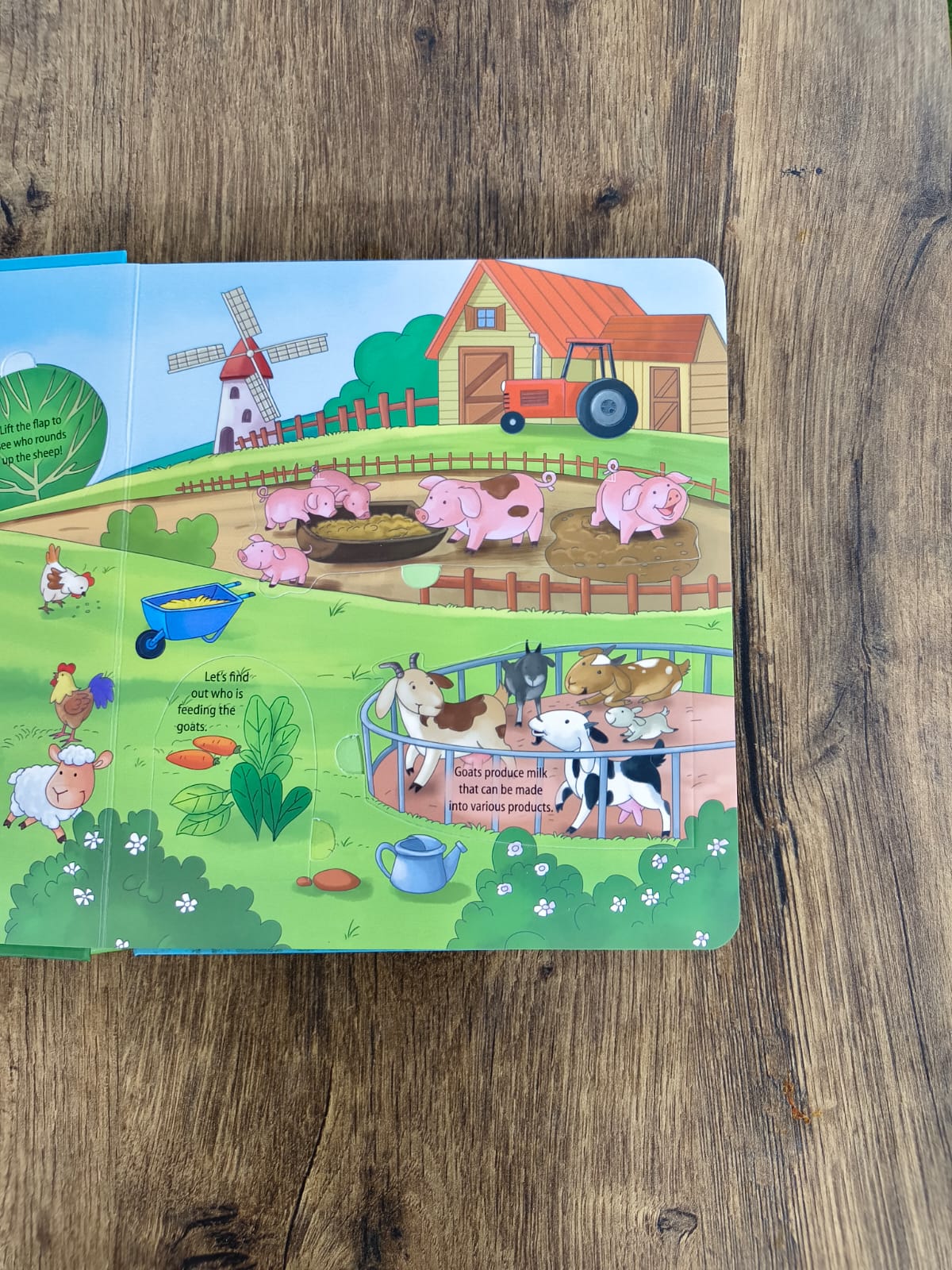 Lift a Flap -  On the Farm