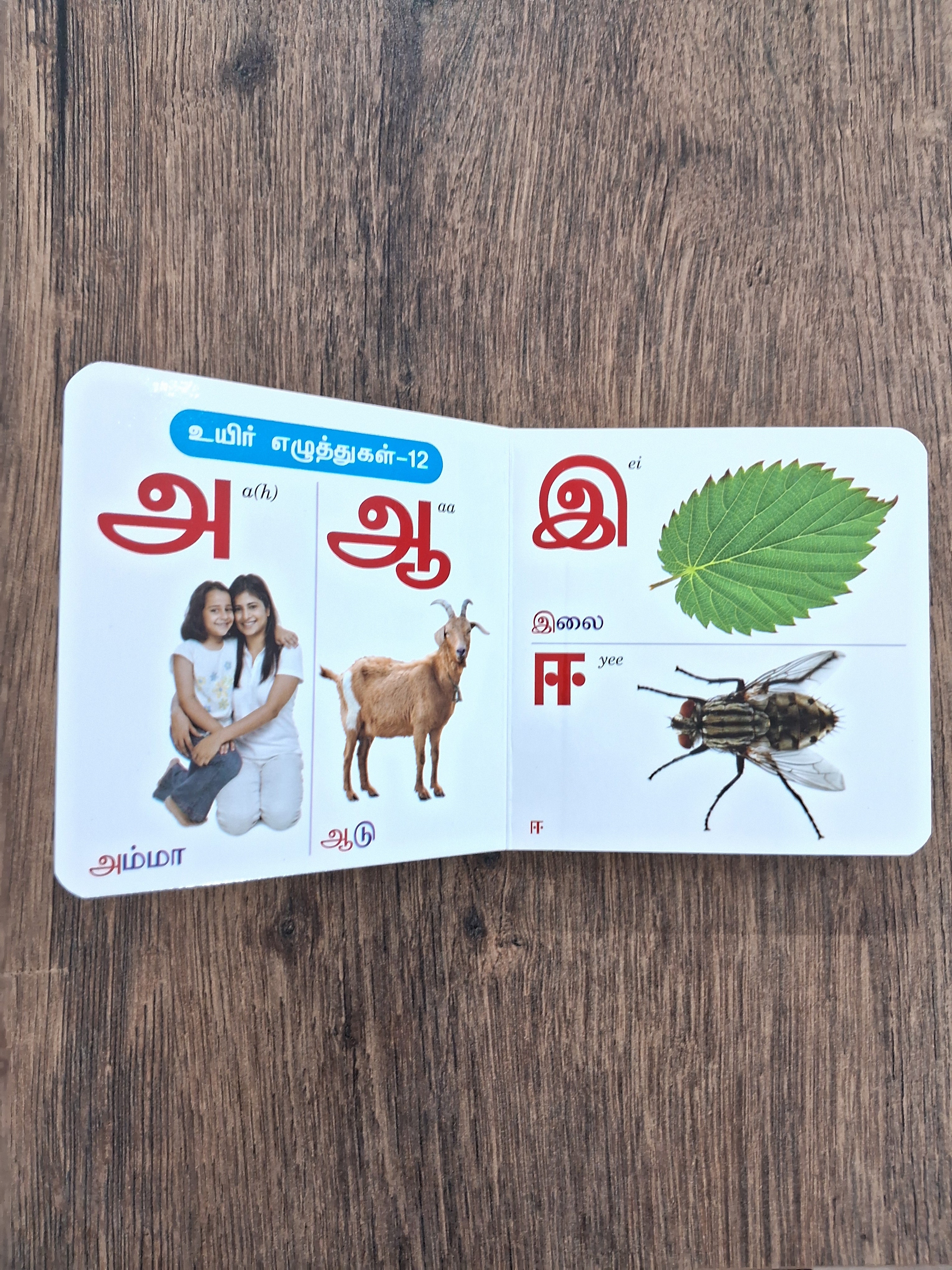 சிறிய Combo தாய்மாமன் சீர் - Small Combo Thaimaman Seer
