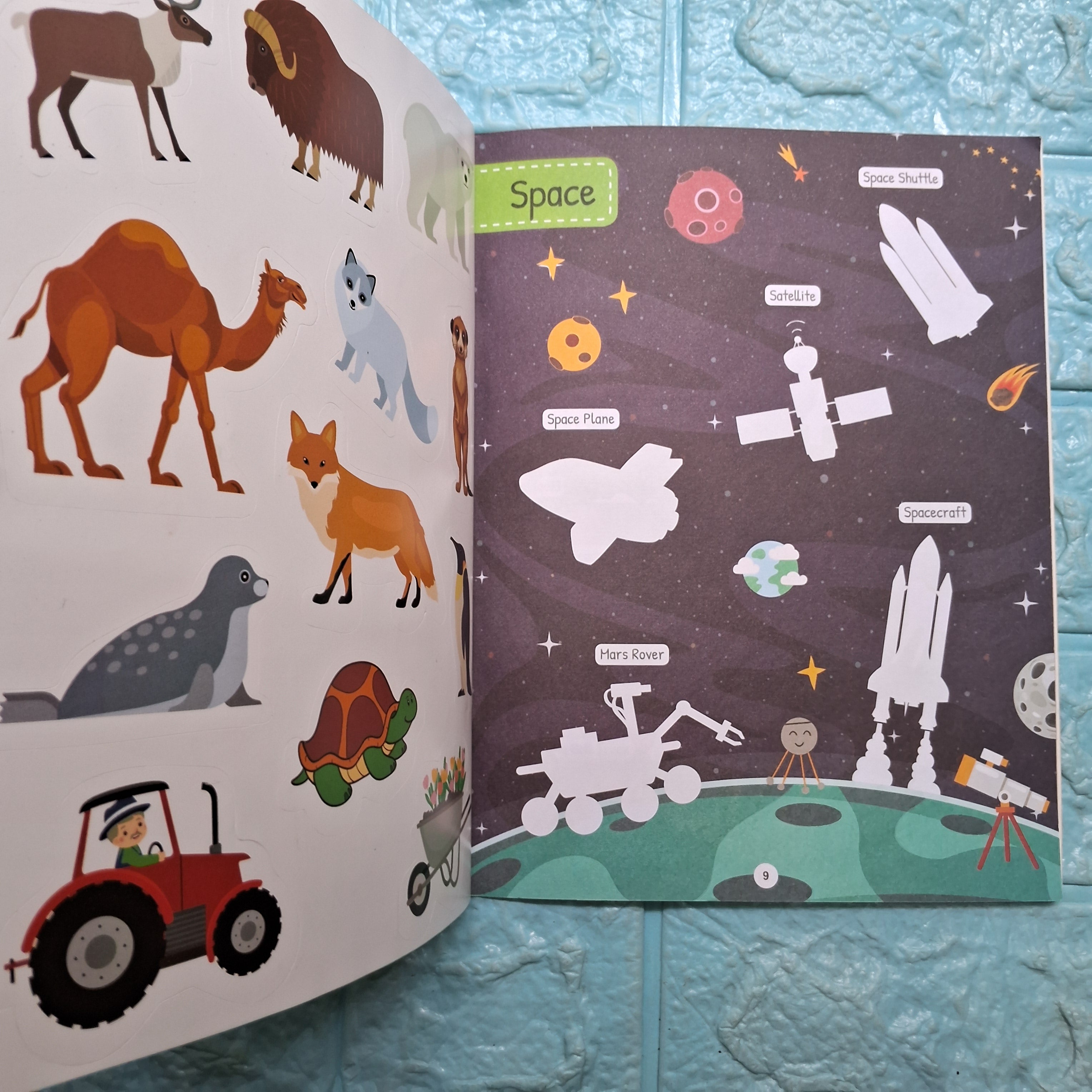 Clearance - My First Animals & Transport Sticker book