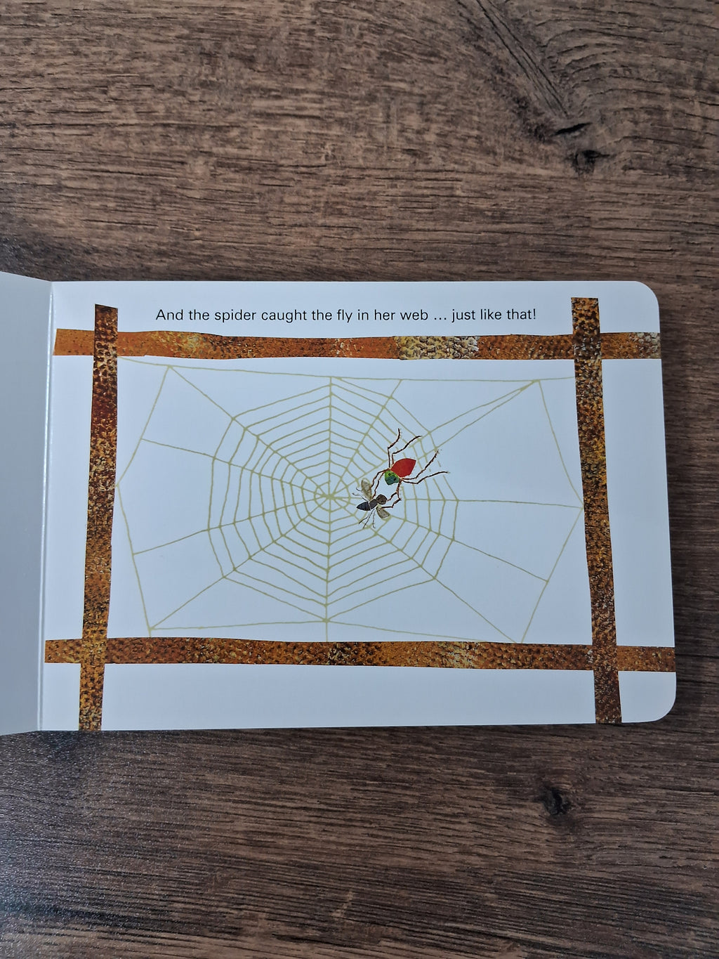 THE VERY BUSY SPIDER