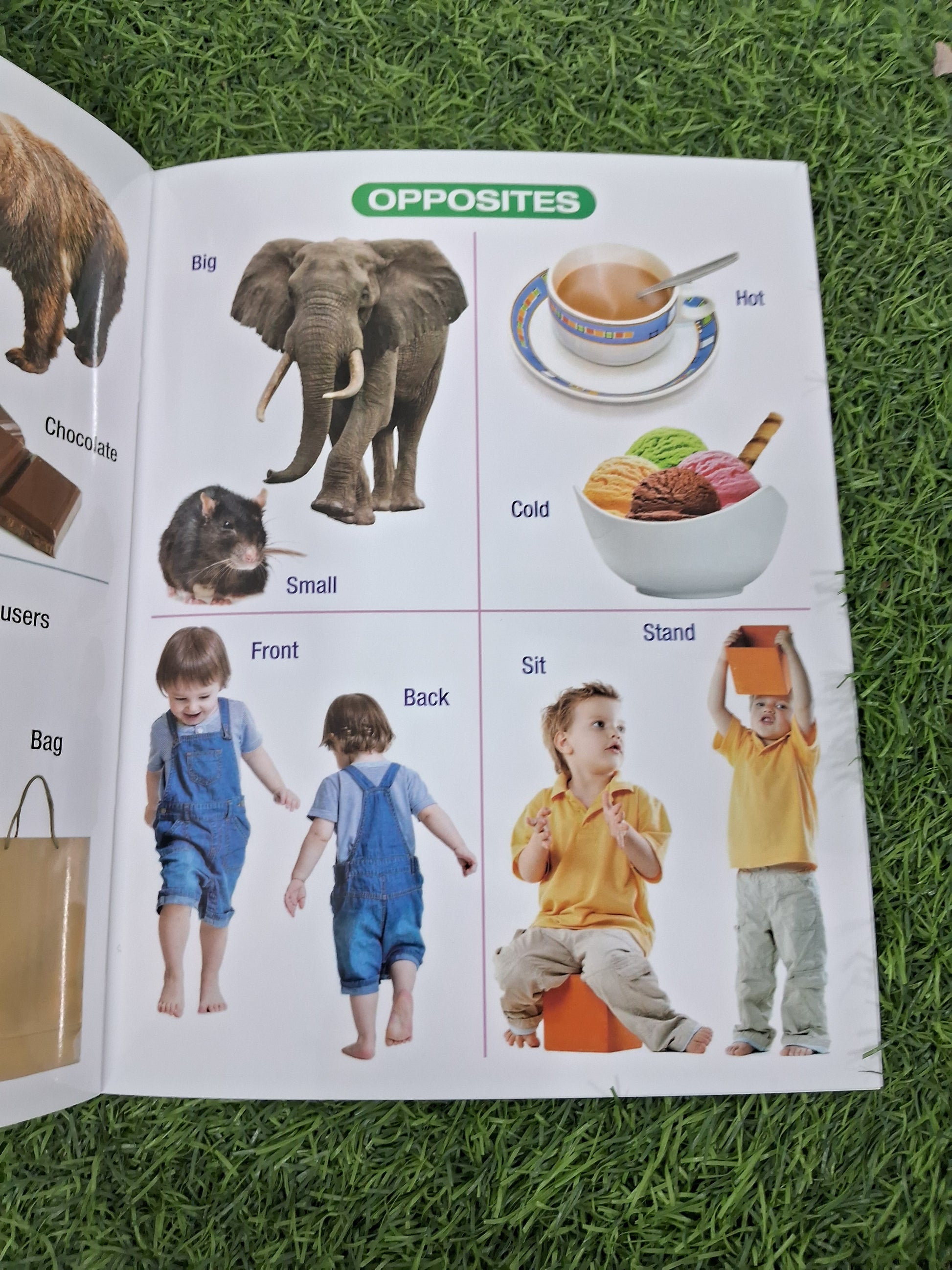 MY FIRST BOOK OF SHAPES,COLORS & OPPOSITES - Large Paperback- TearProof