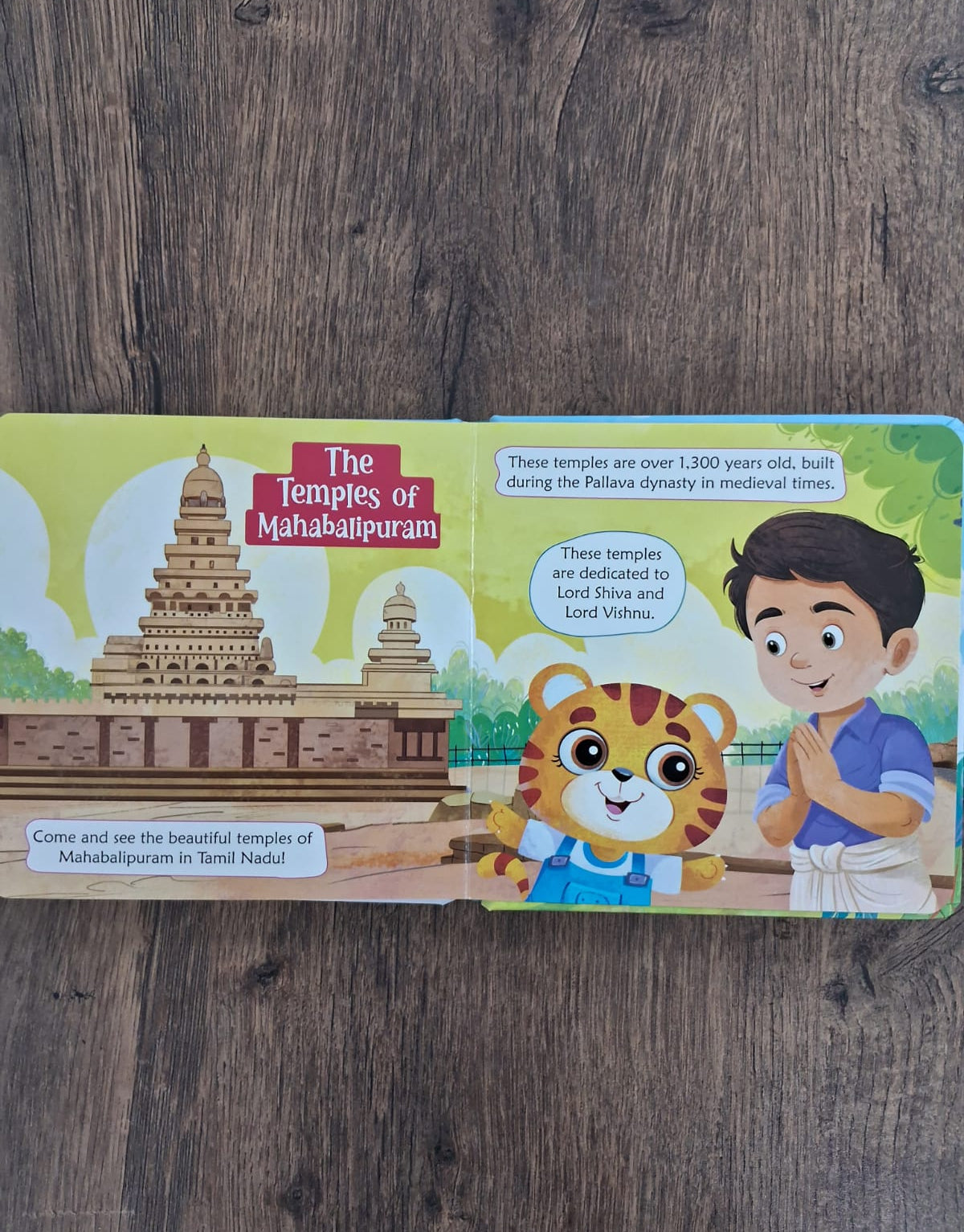 Monuments of India - Padded Board Book