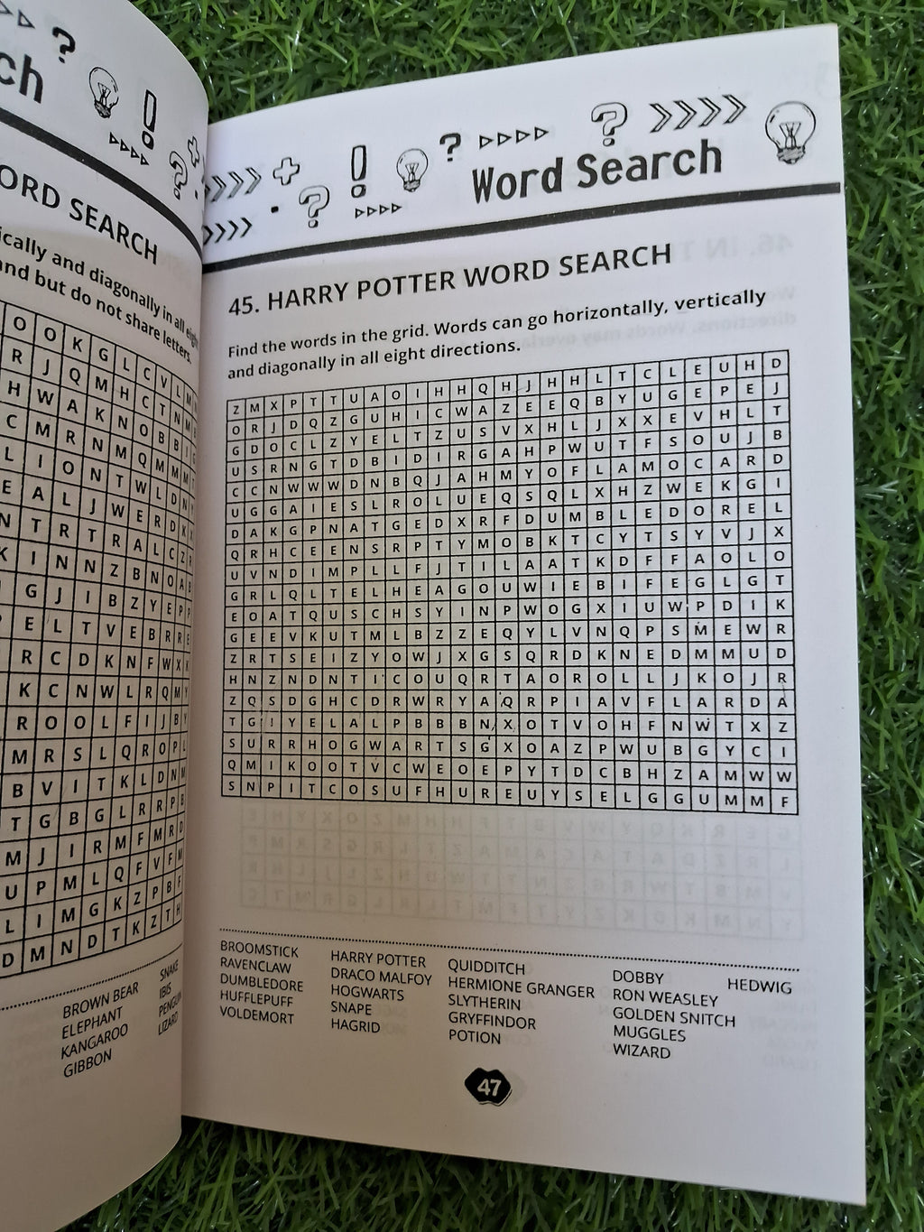 More word search Book