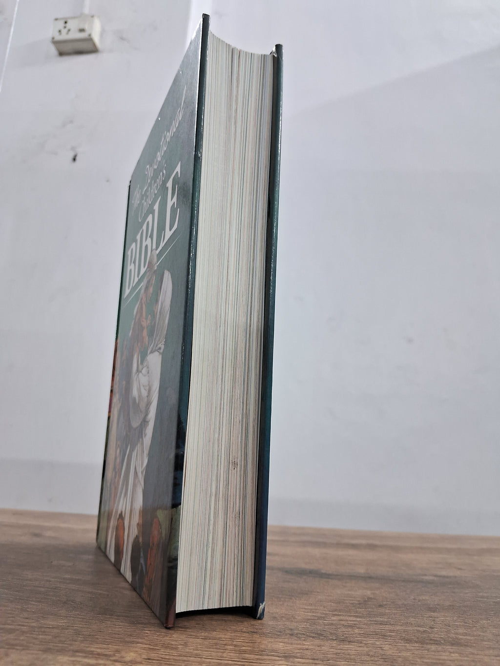 The Devotional Children's Bible