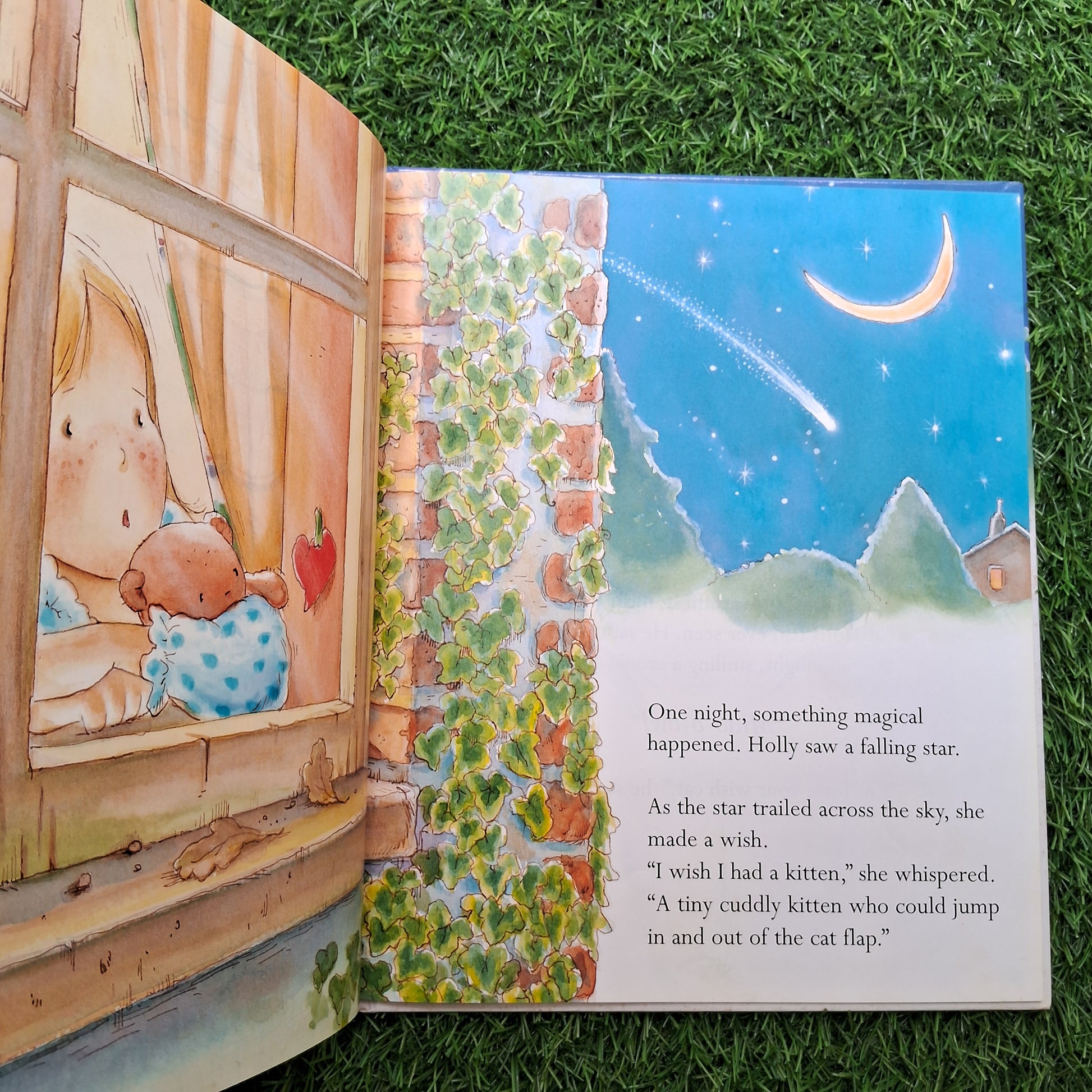 The wish cat - Very Good Condition Hardcover