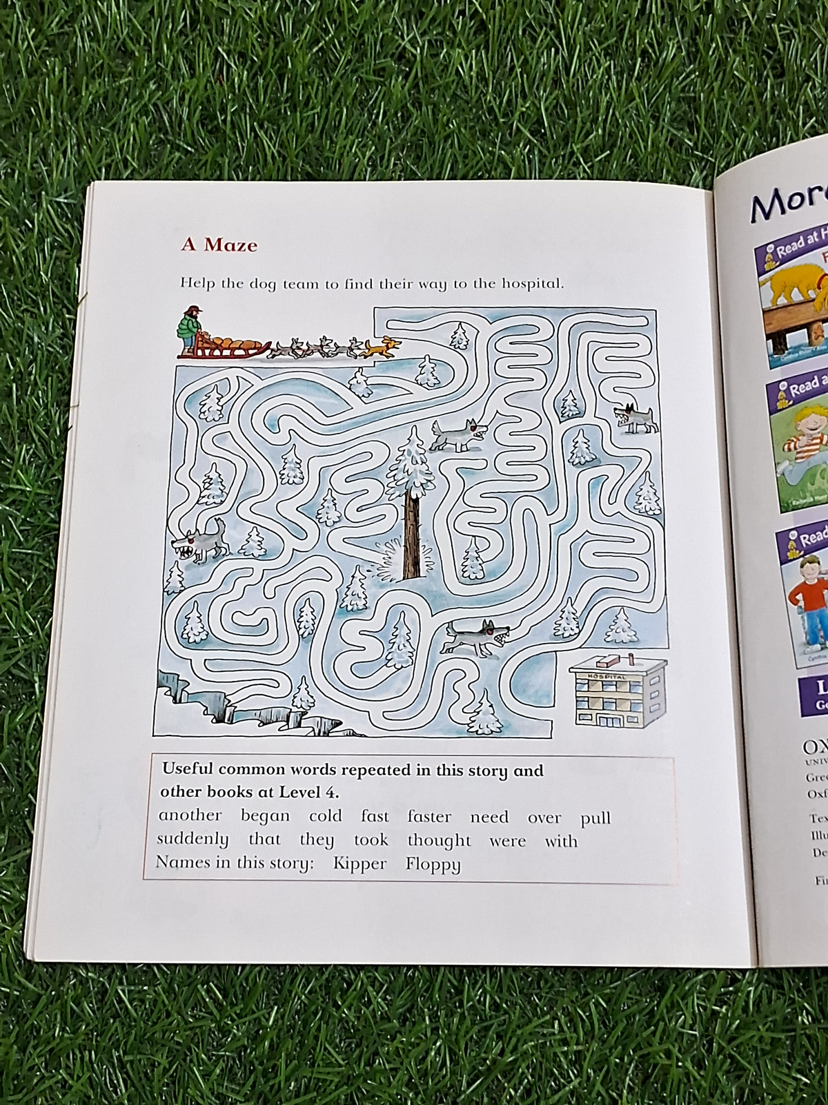 Read at Home - Husky Adventure -  Very Good Condition Paperback