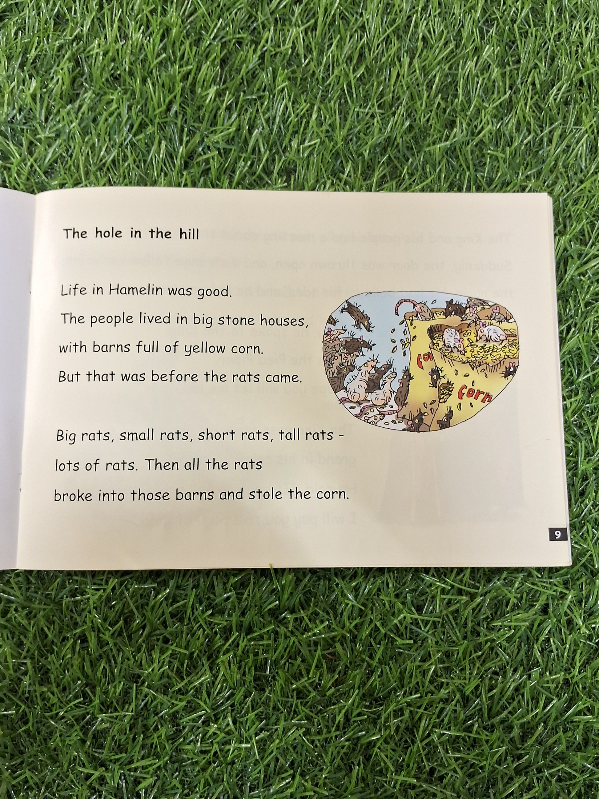 Phonics - The hole in the hill -  Very Good Condition Paperback