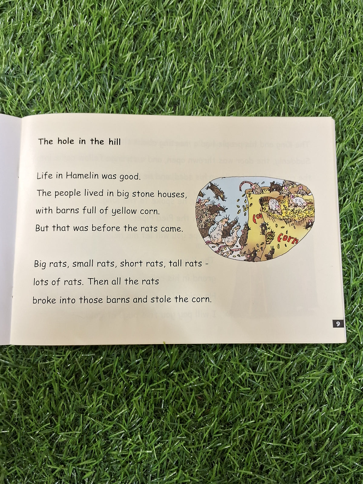 Phonics - The hole in the hill -  Very Good Condition Paperback