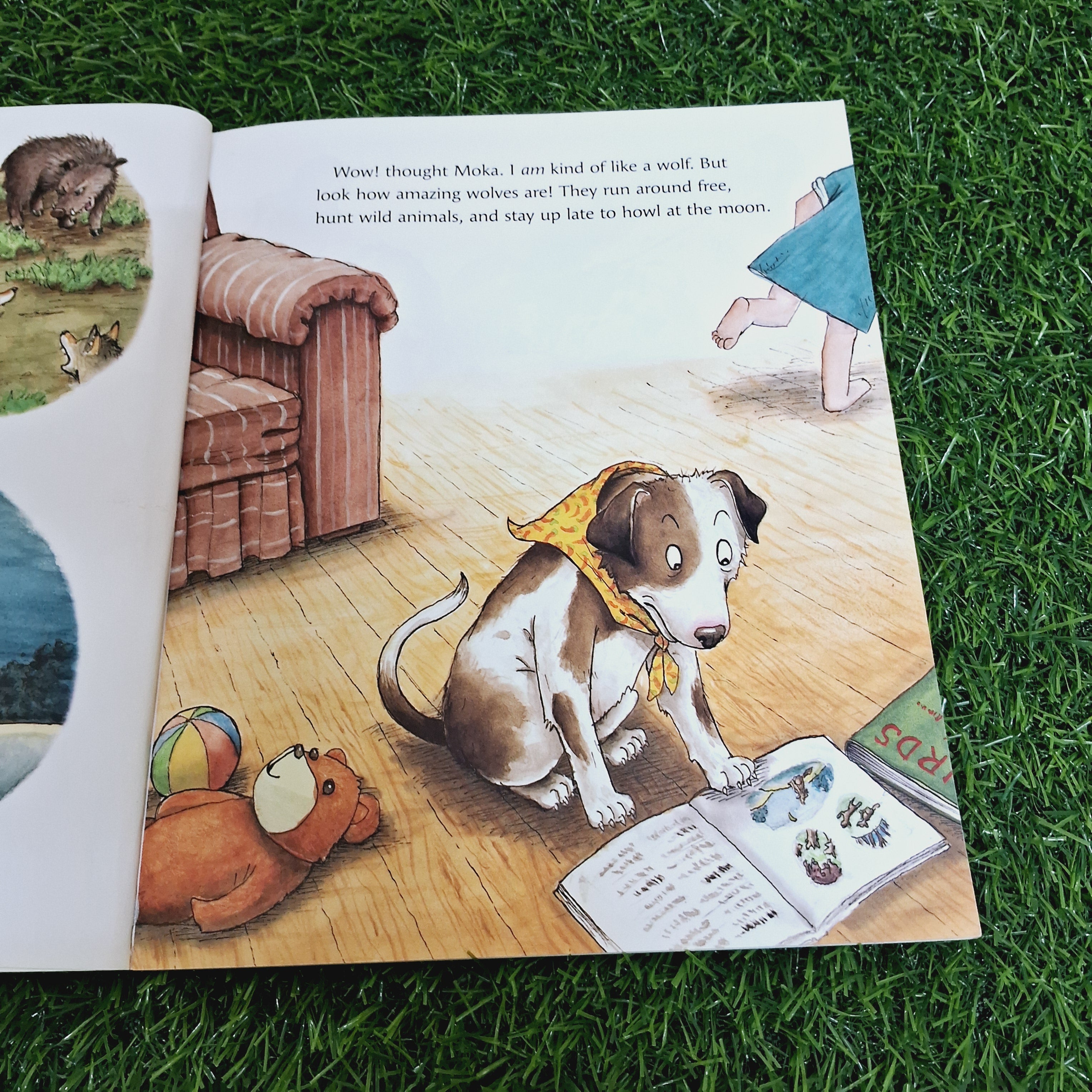 The Dog who cried Wolf - Good Condition Paperback