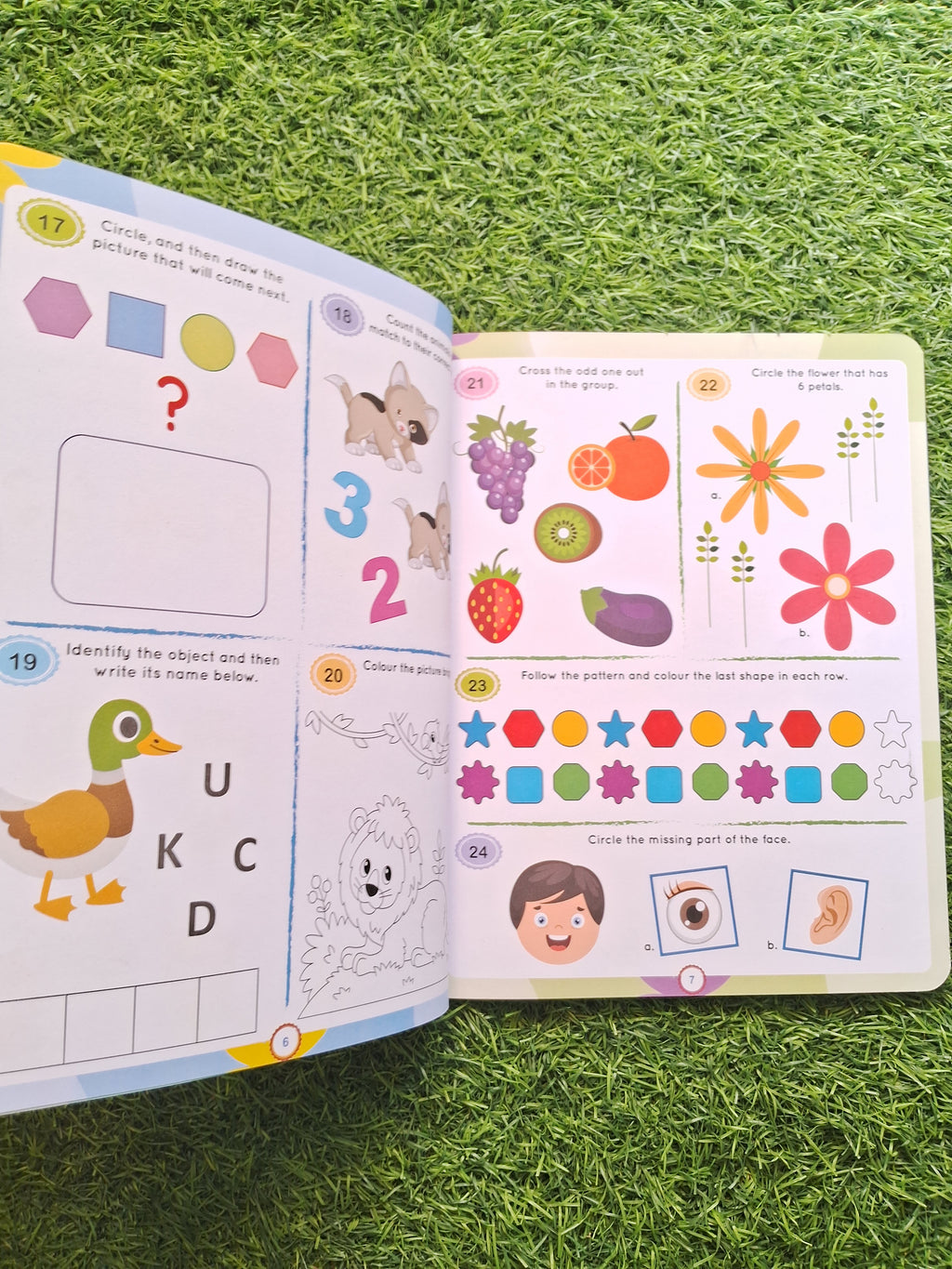 Brain Booster Activity Age 3+