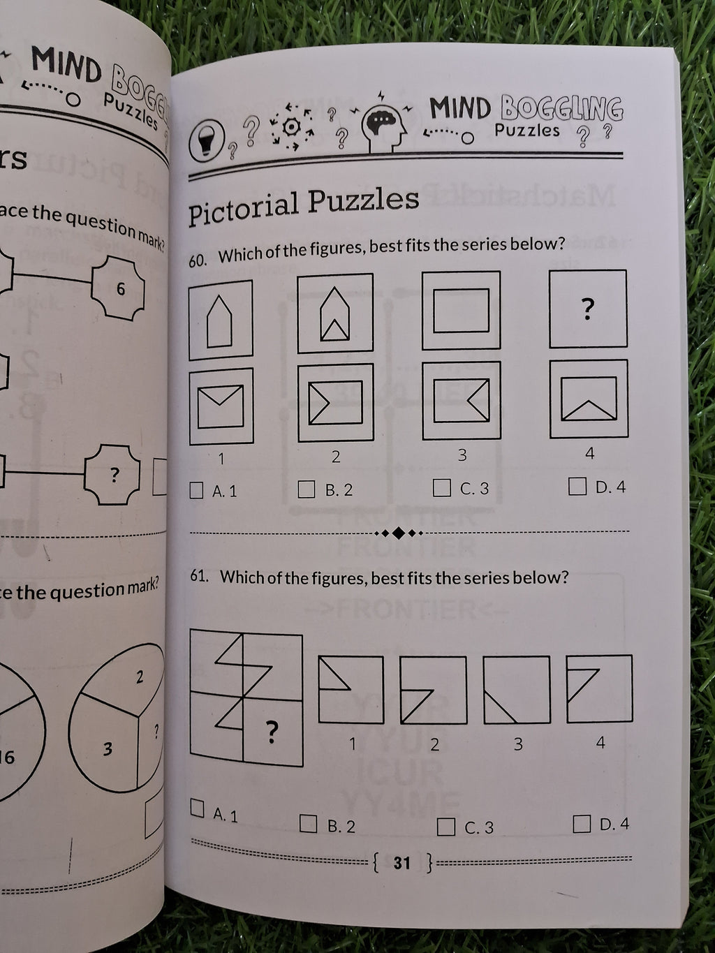 Mind Boggling puzzles - Challenging Books
