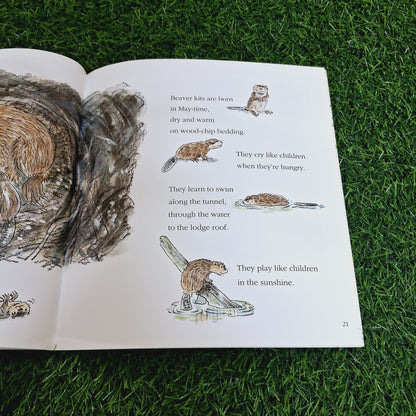 Think of a Beaver - Very Good Condition Paperback