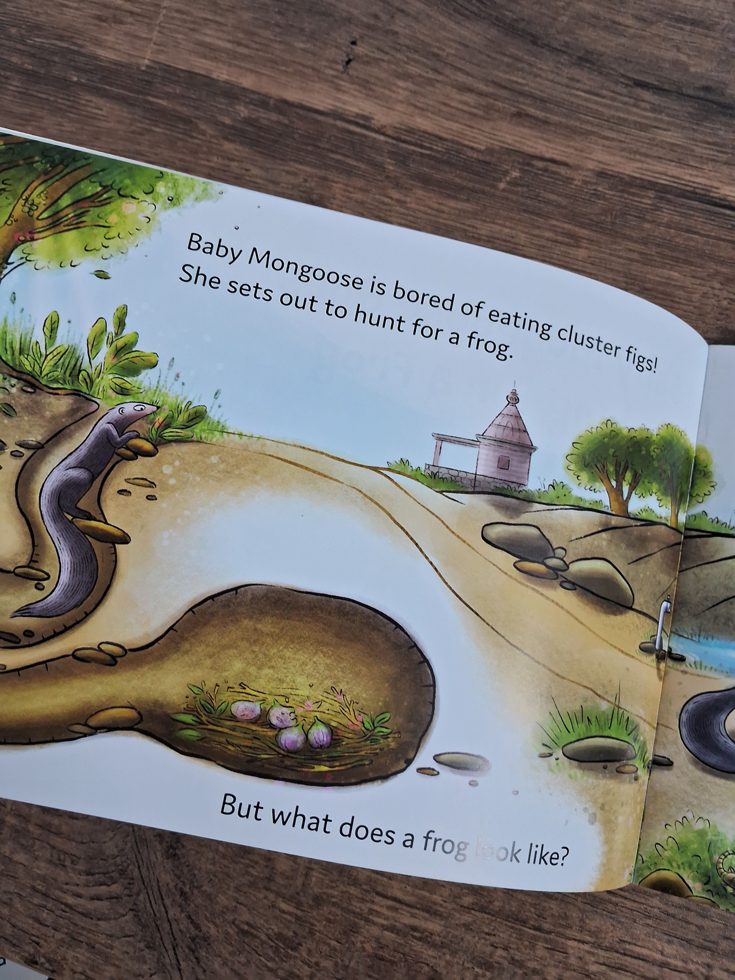 Baby Mangoose Goes looking for a Frog - English - Pratham - Level1