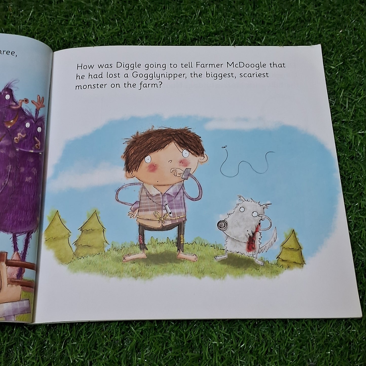The day the googlynipper Escaped - Very Good Condition Paperback