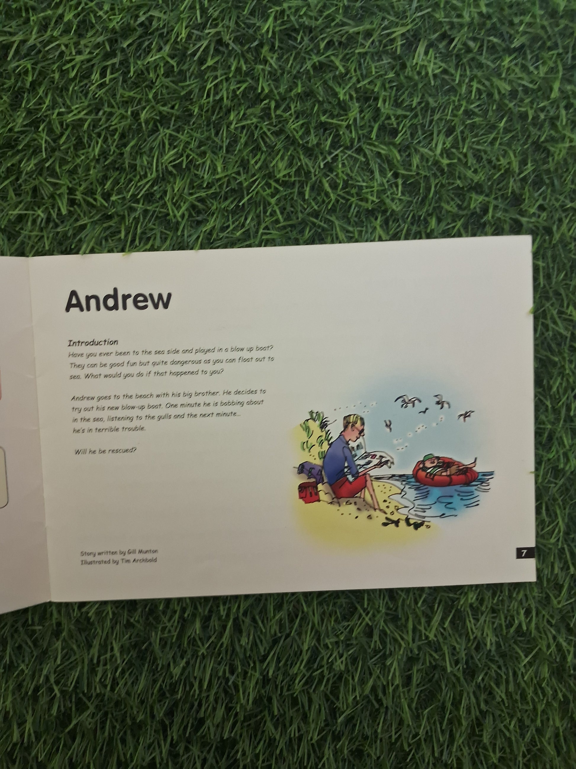 READ WRITE INC - ANDREW grey story book 8 -  Very Good Condition Paperback