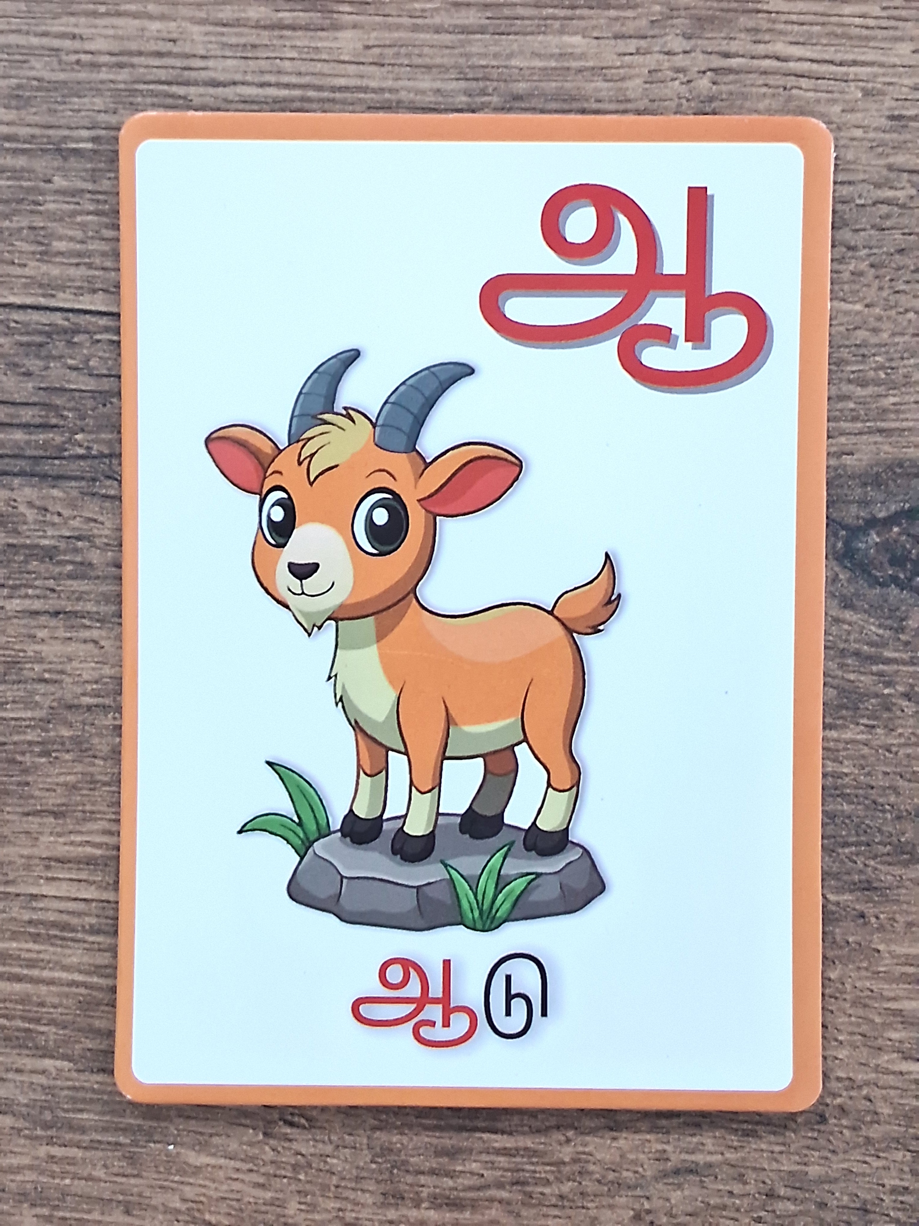 Tamil Flash Cards - 16 Cards