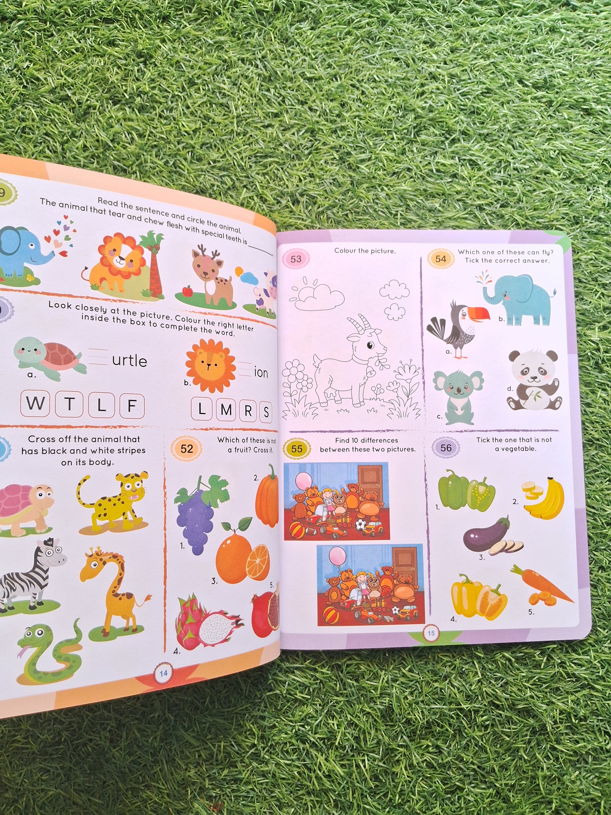 Brain Booster Activity Age 6+