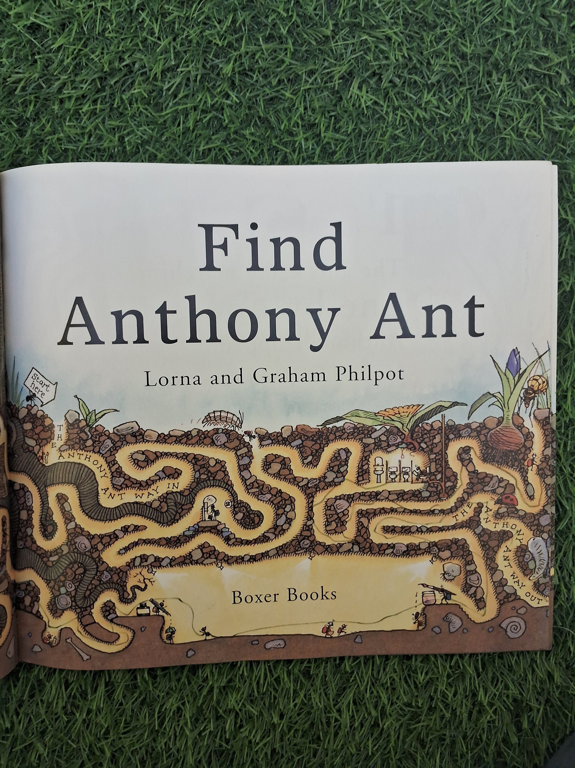 FIND ANTHONY ANT - Excellent Condition Paperback