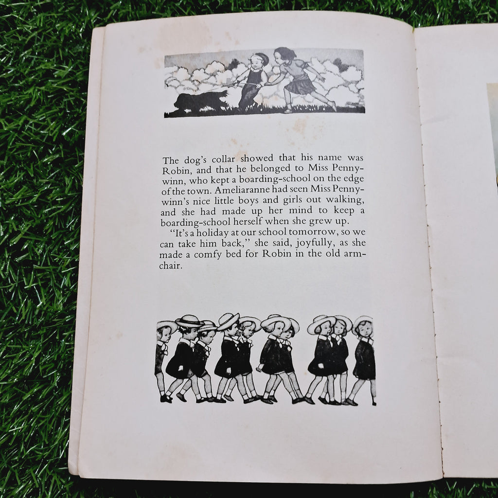 Ameliaranne keeps school - Average Condition Paperback