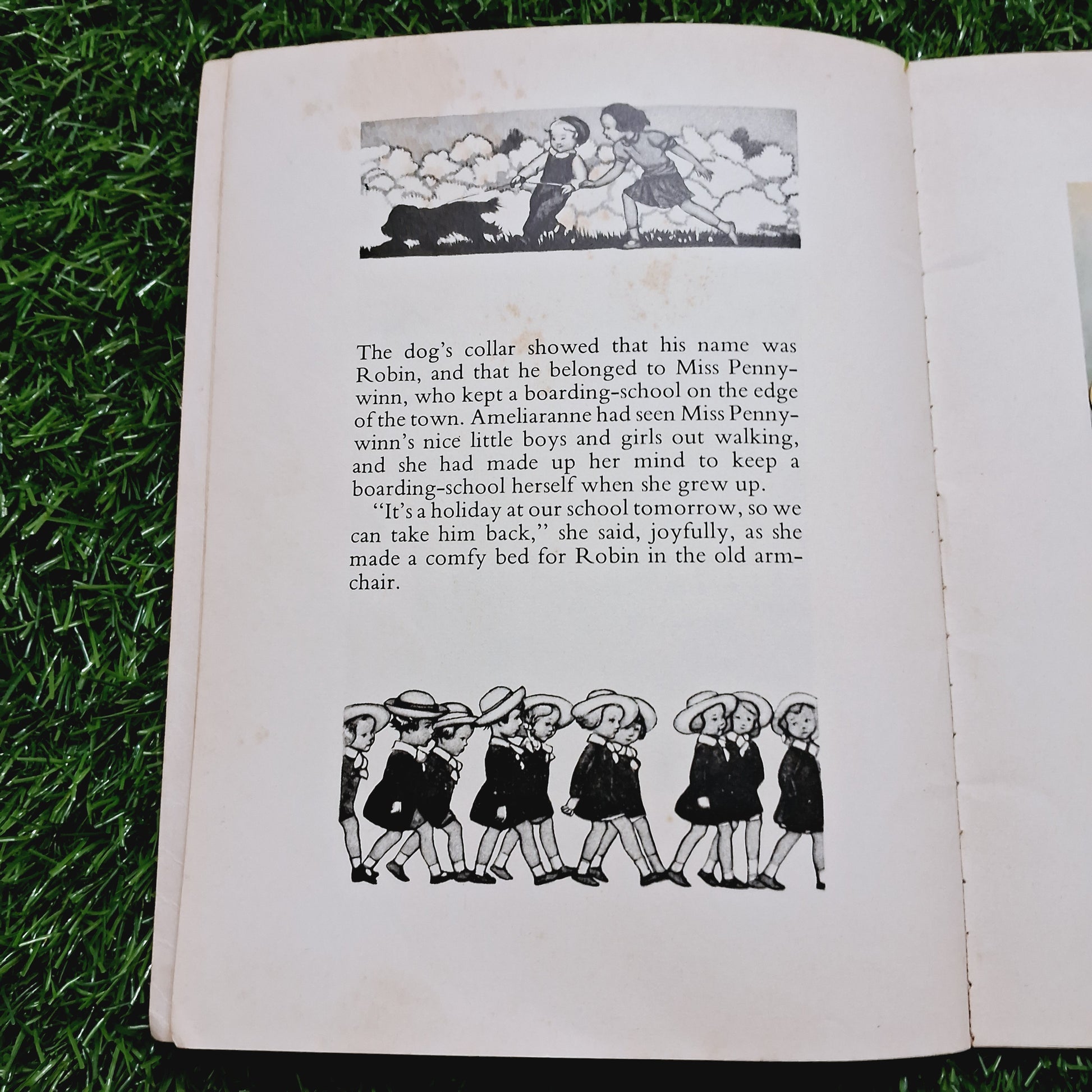 Ameliaranne keeps school - Average Condition Paperback