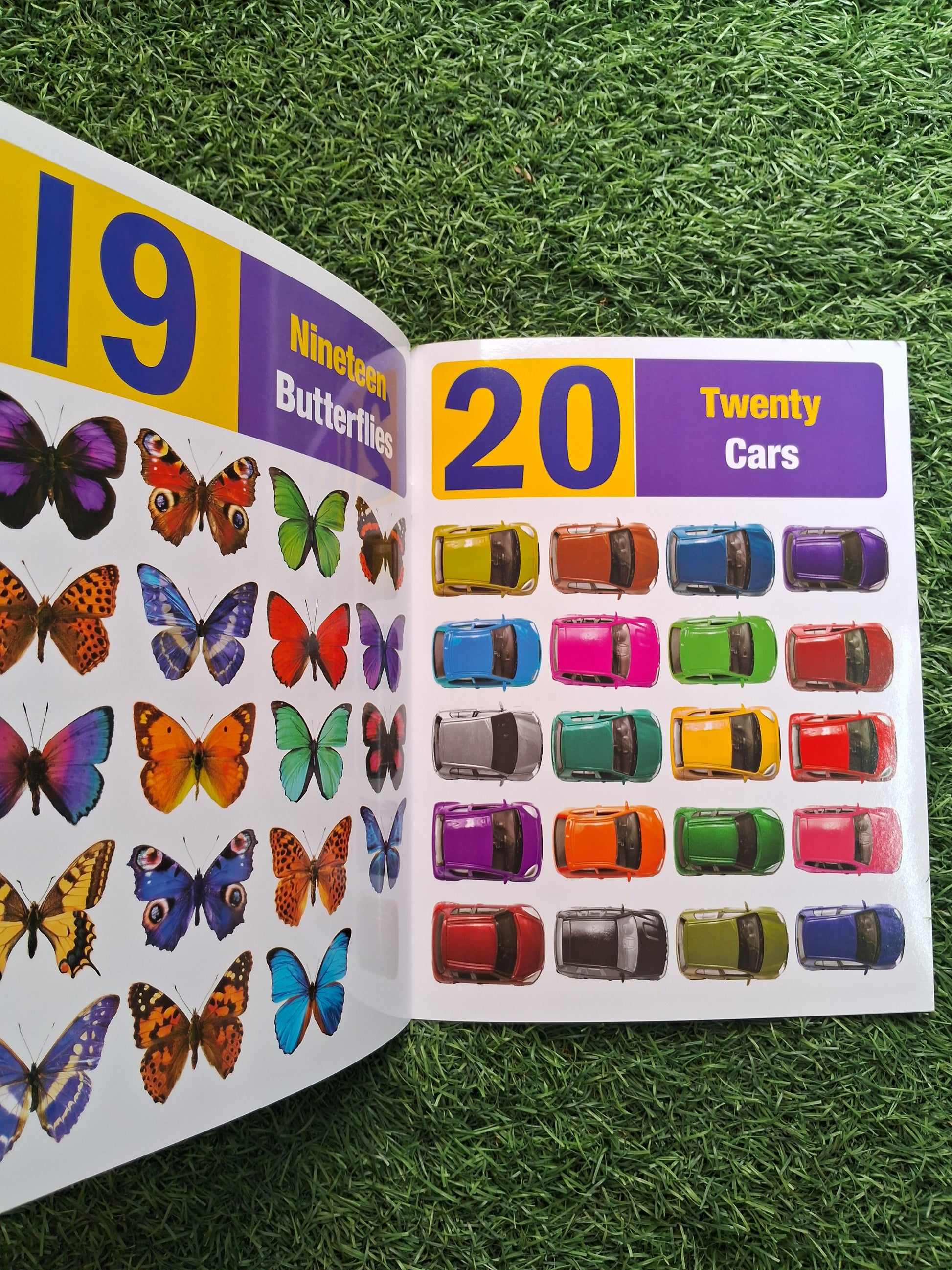 My First Book of Numbers - Large Paperback- Laminated