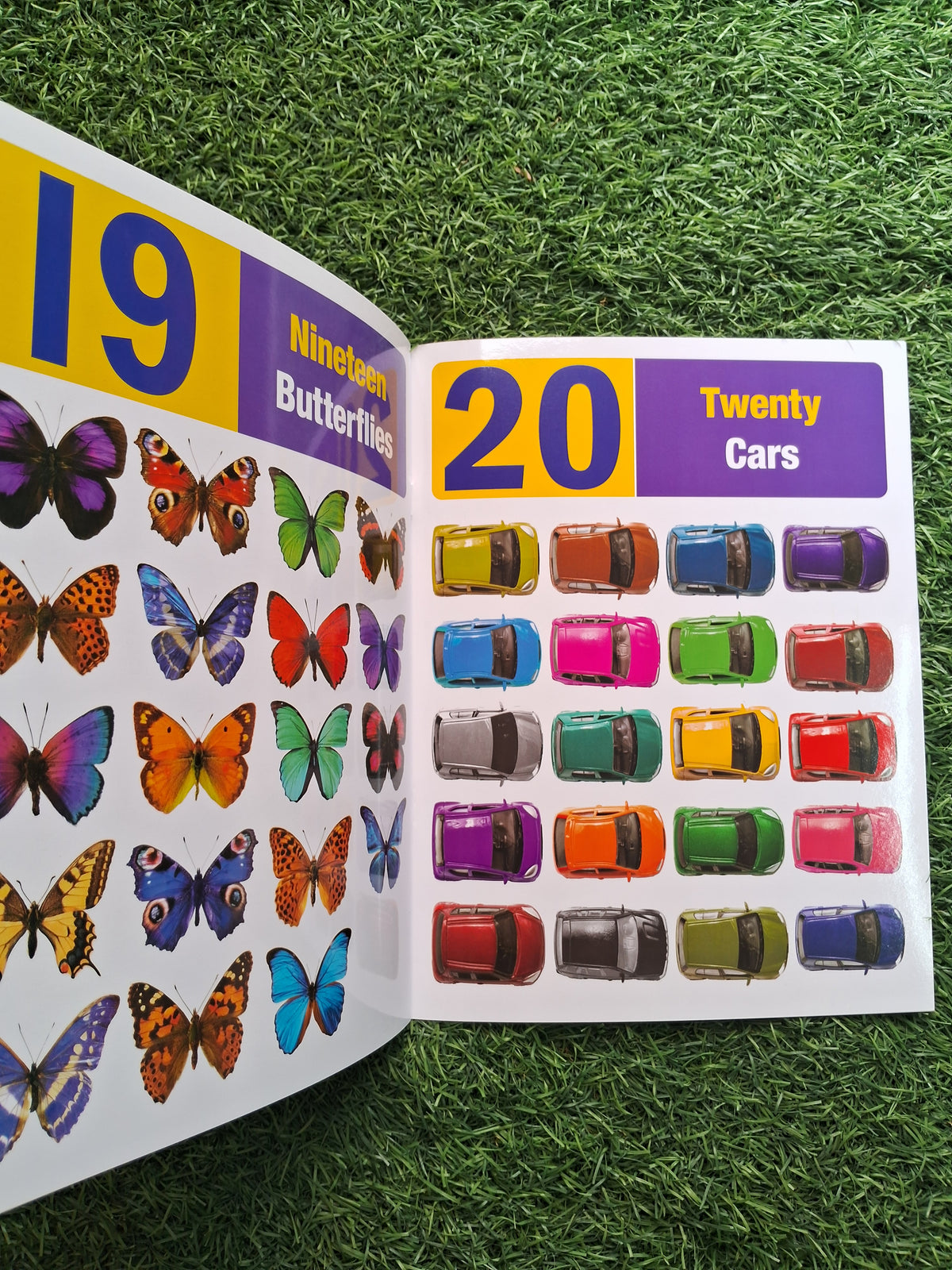 My First Book of Numbers - Large Paperback- Laminated
