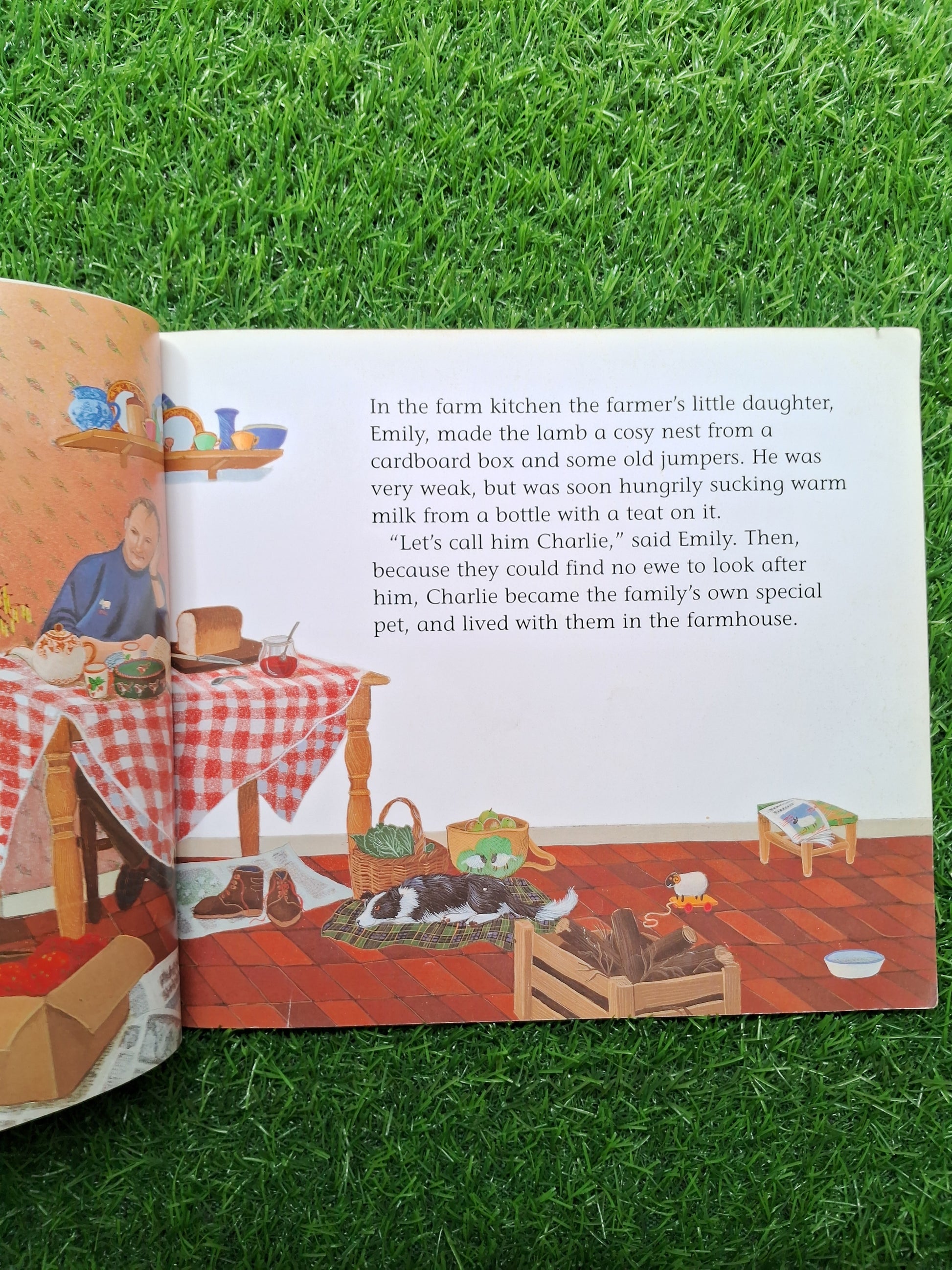 Charlie and tess -  Good Condition Paperback