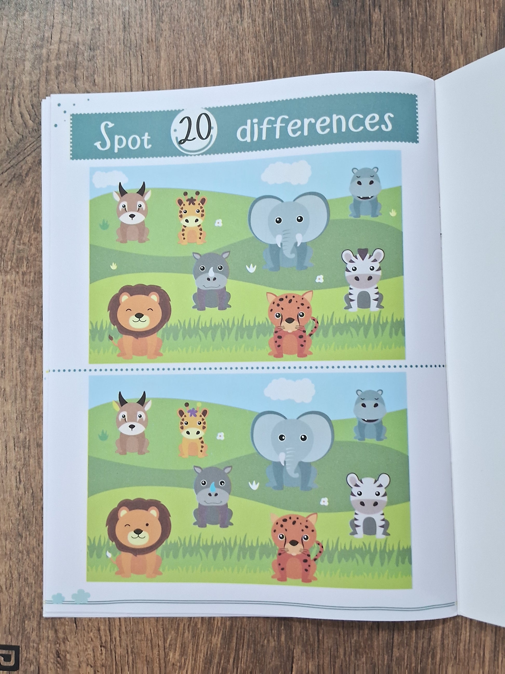 My First Book of Spot the Difference - Activity Book