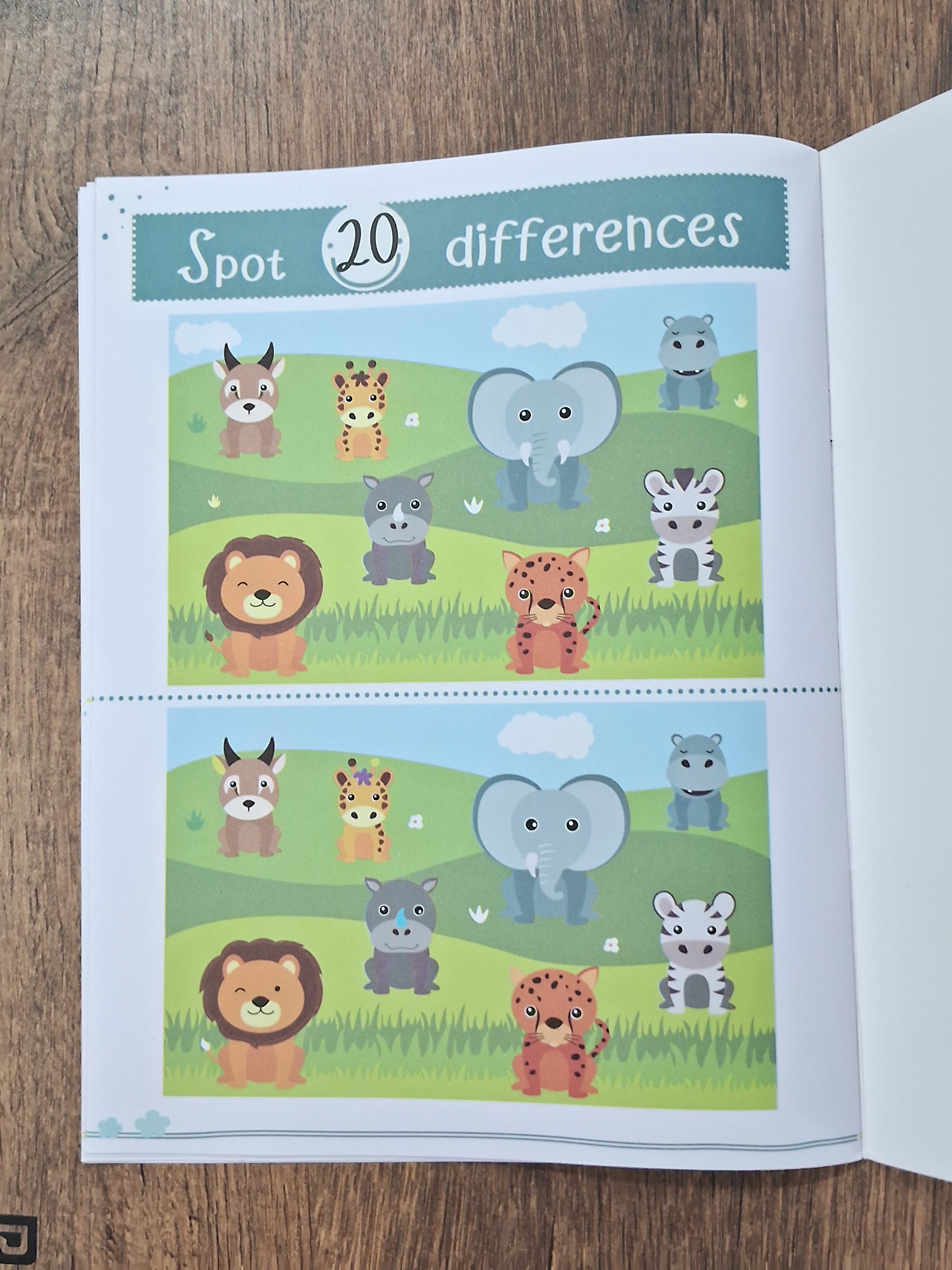 My First Book of Spot the Difference - Activity Book