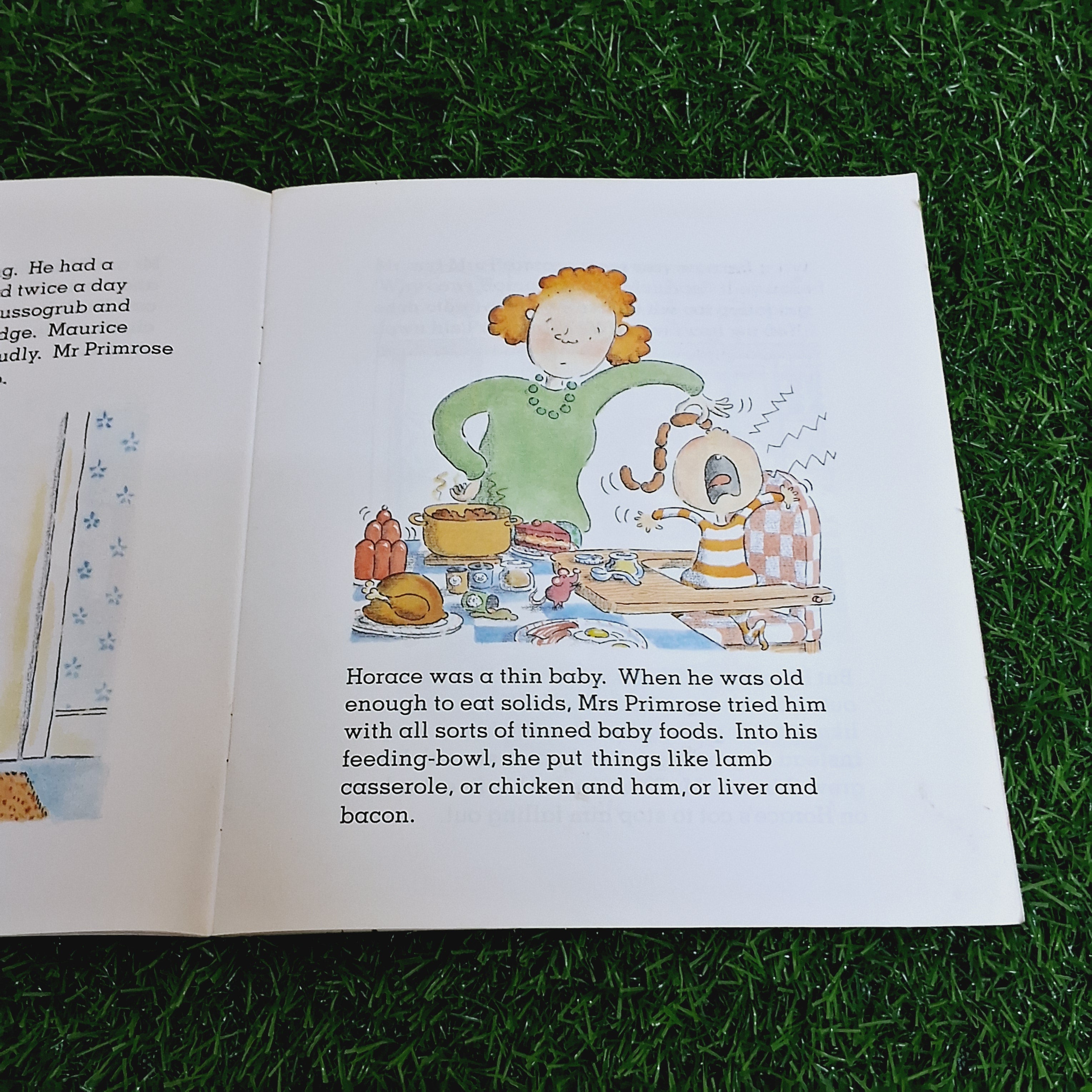 Dick king Smith - Average Condition Paperback