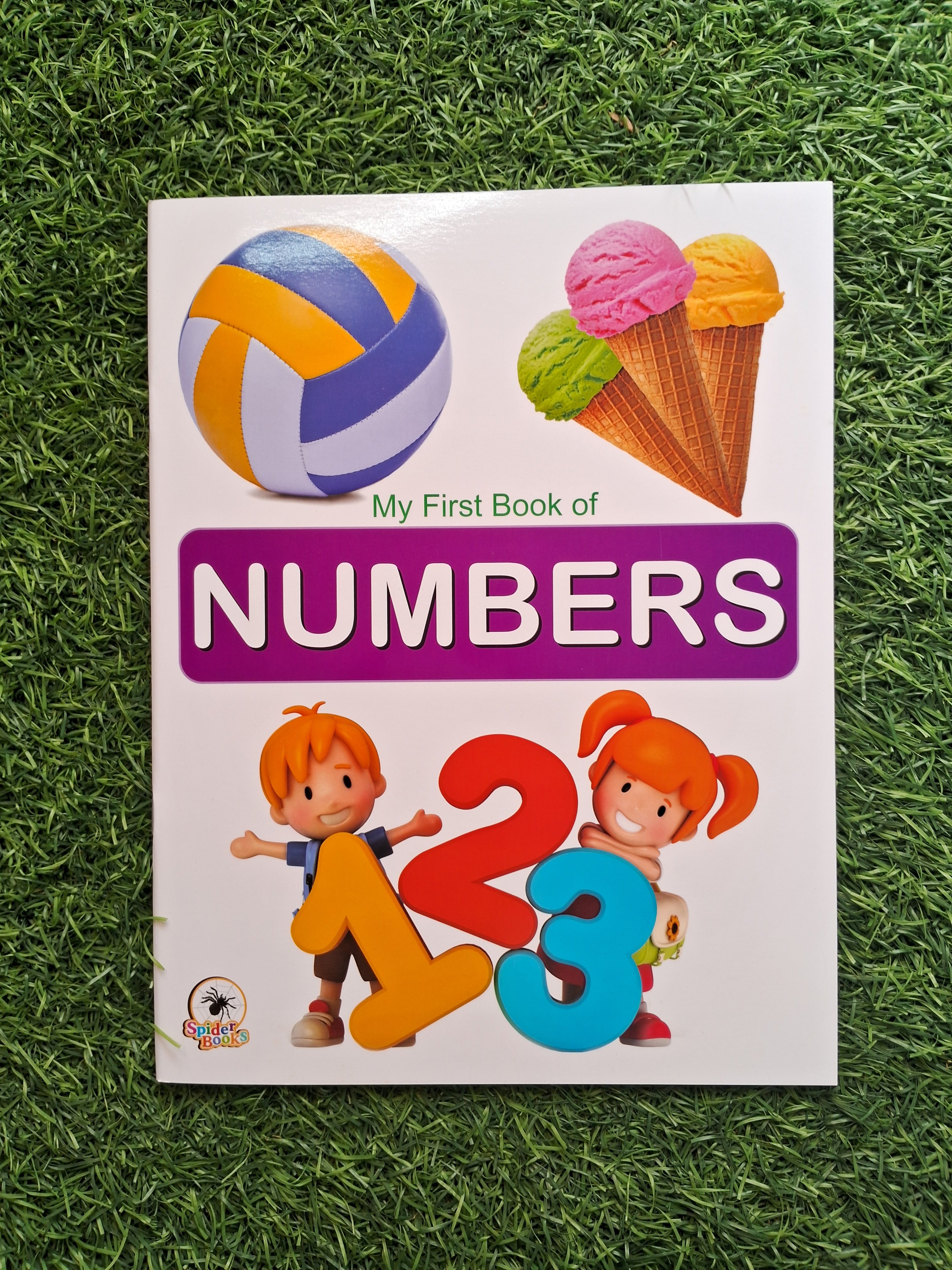 My First Book of Numbers - Large Paperback- Laminated