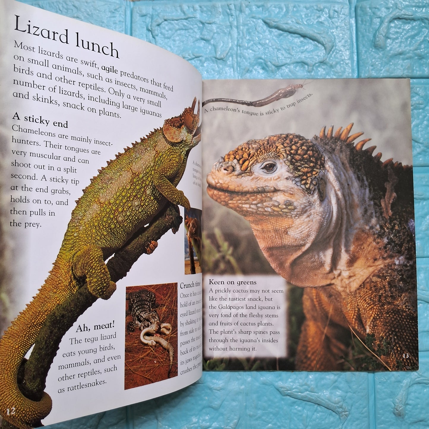 Reptiles - Very Good Condition Paperback