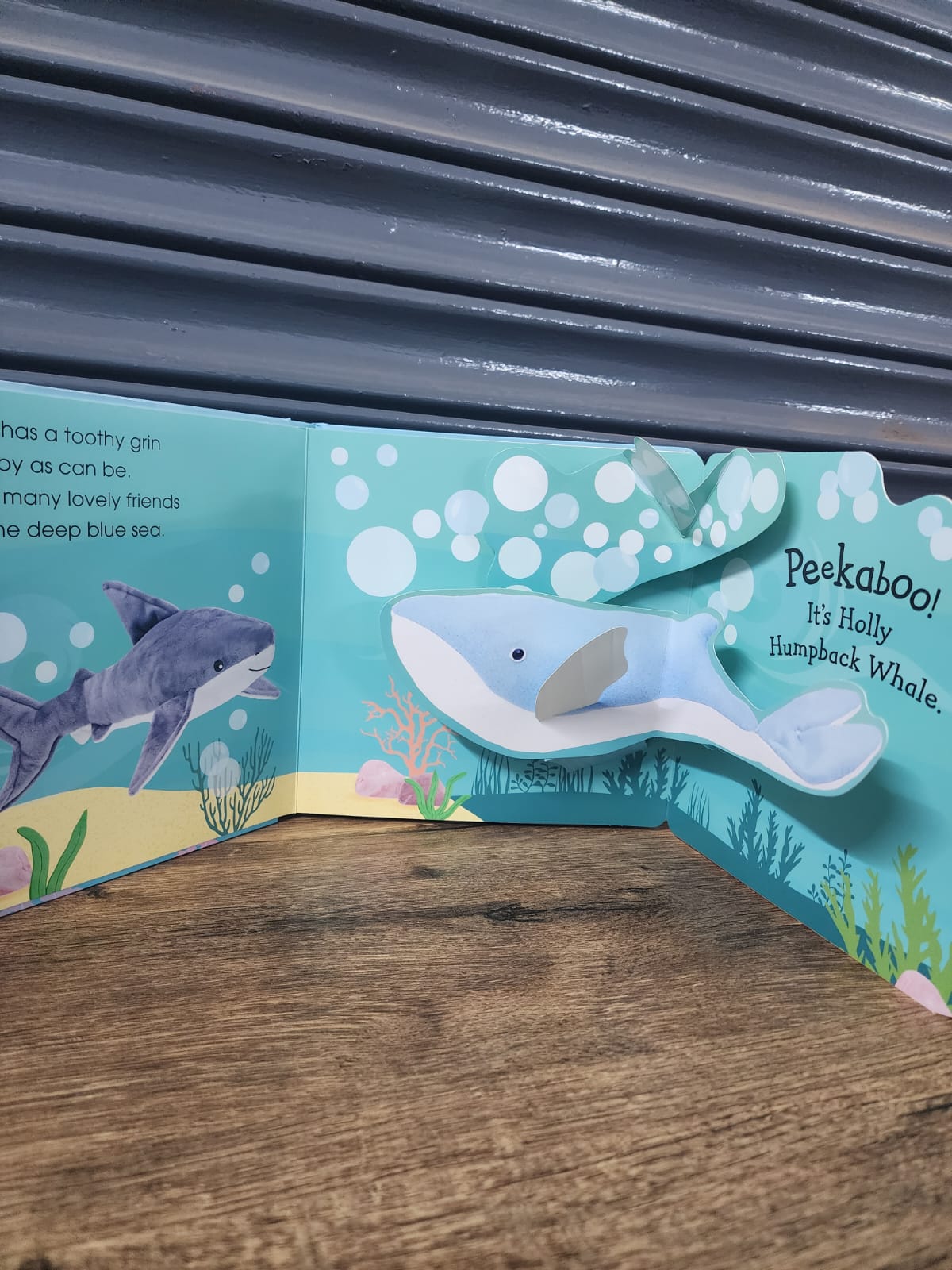 Shark - Popup Peekaboo