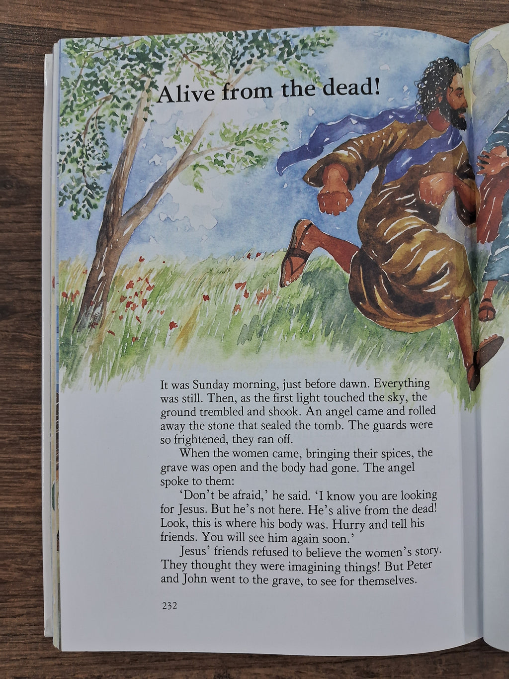 The Lion Children's Bible