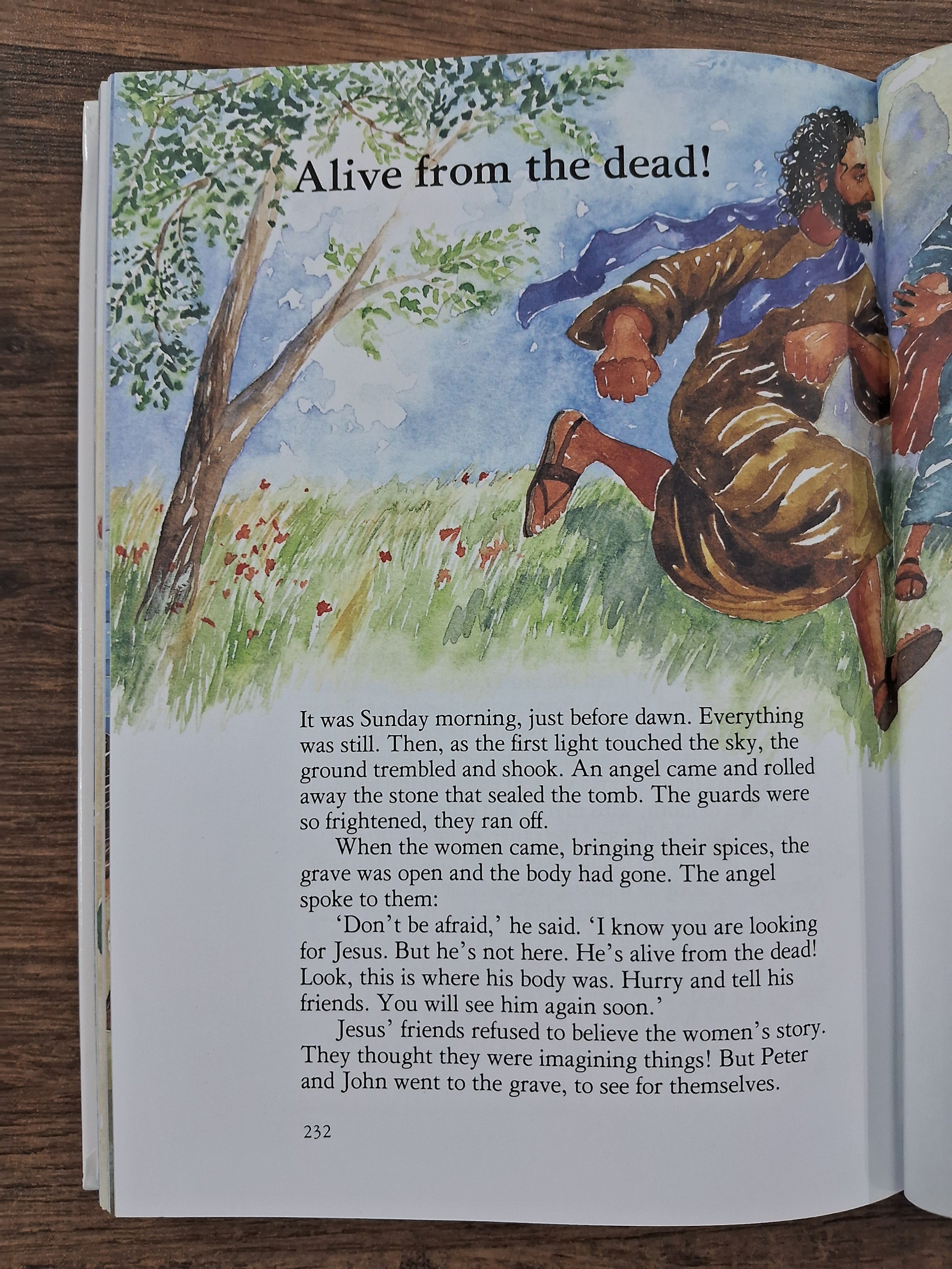 The Lion Children's Bible